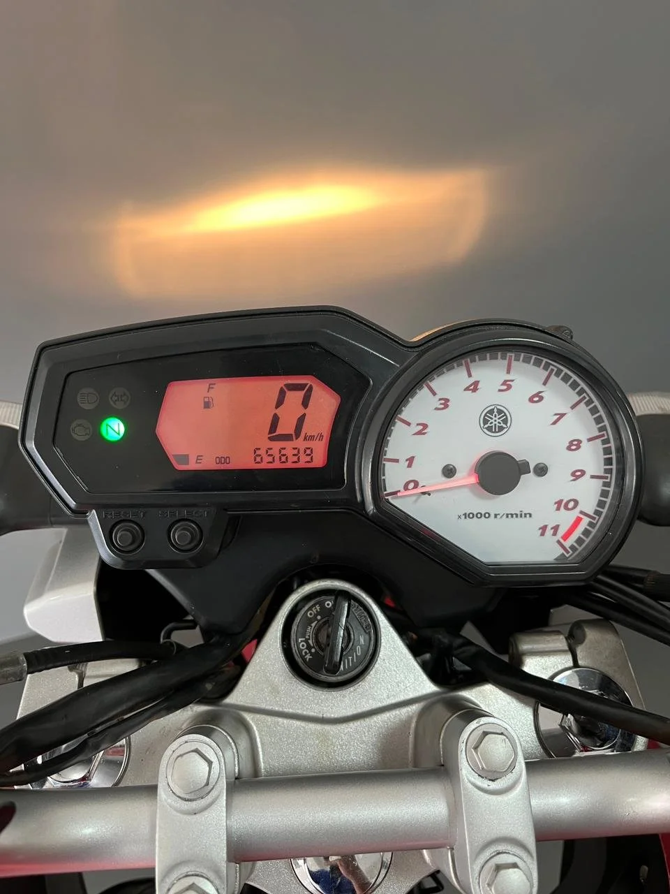 WhatsApp Image 2026-01-27 at 12.52.19 (2).jpeg