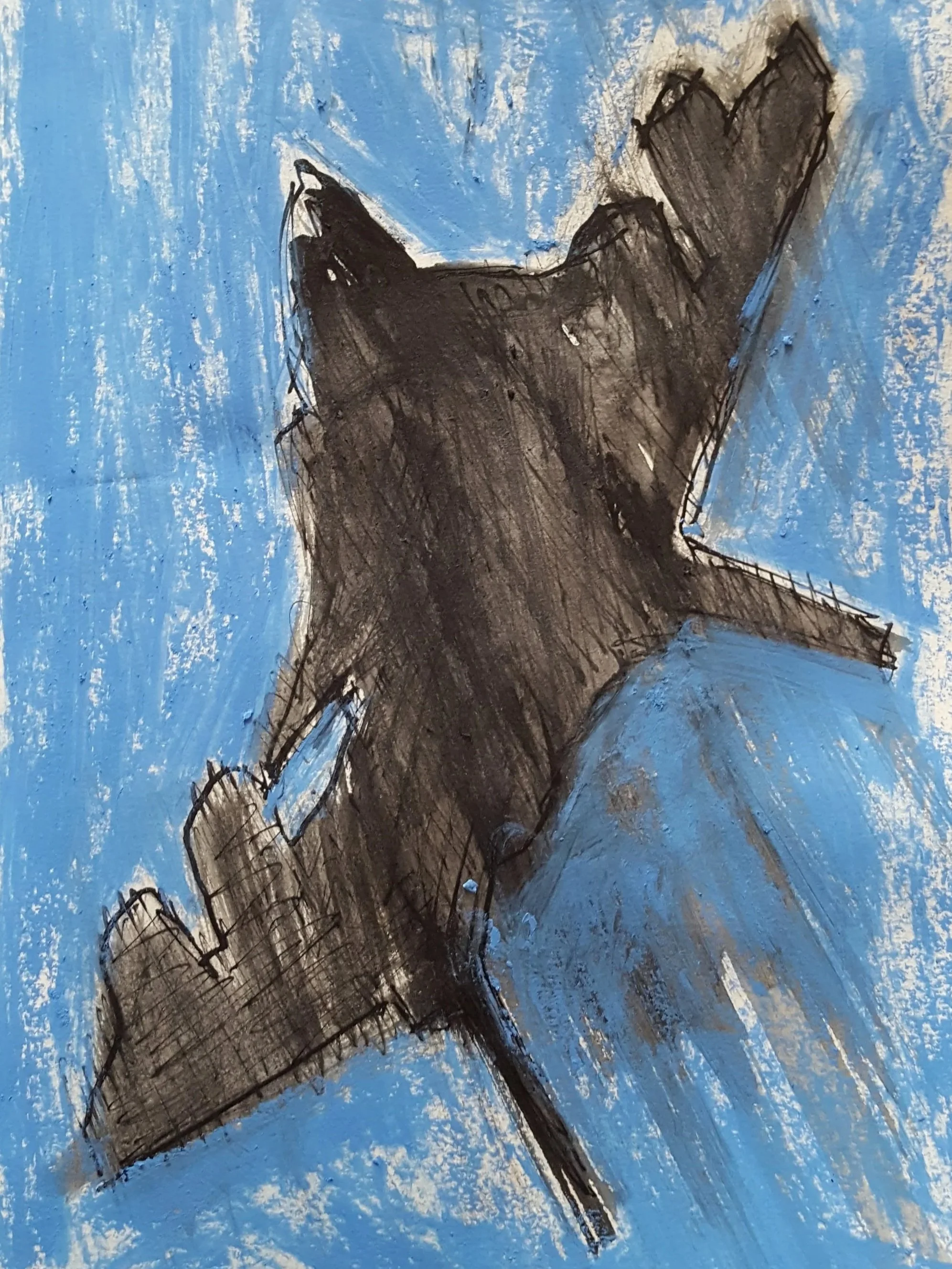 2018-03-10 10.53.41.jpg