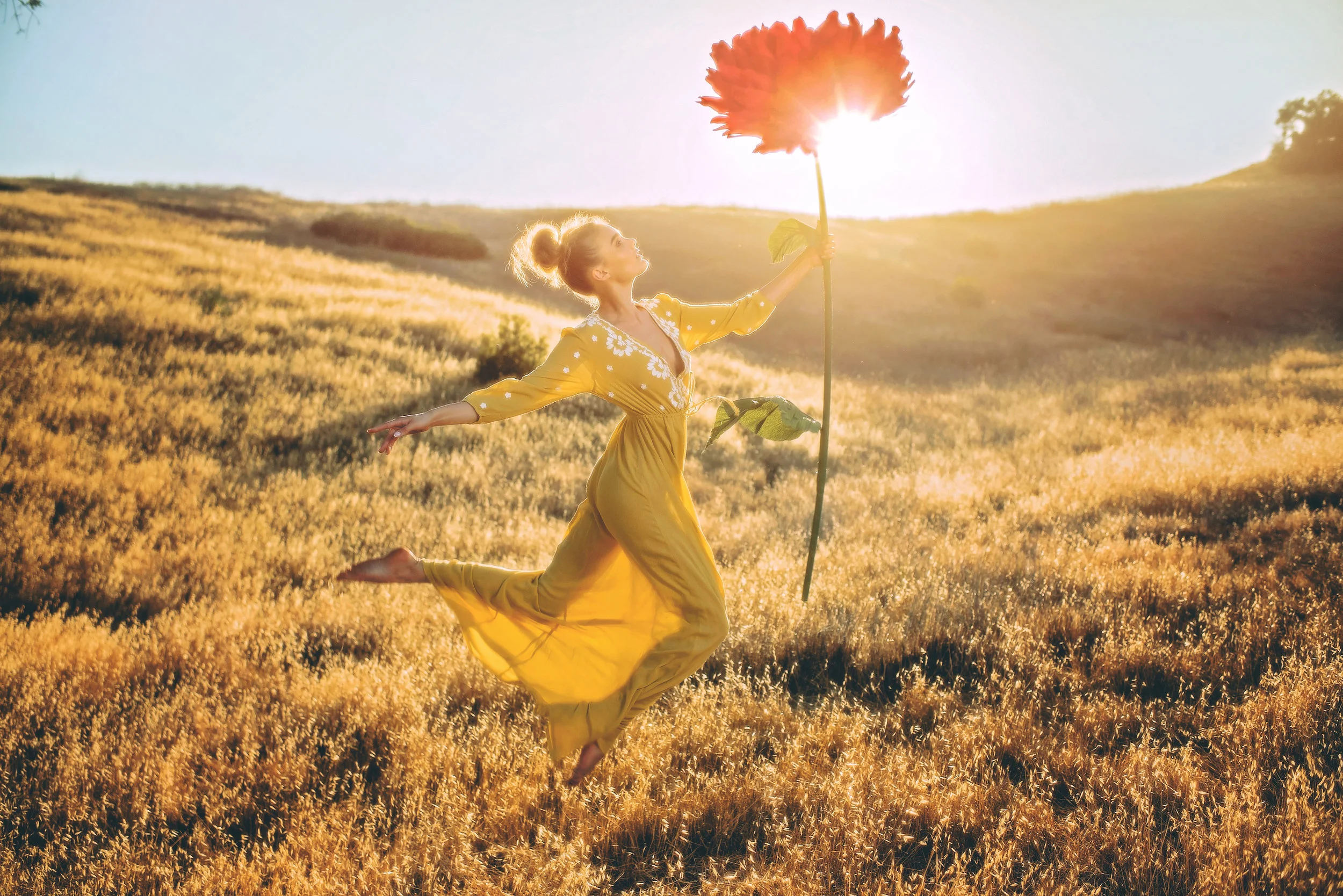 FLOWER RHAPSODY  dy by Elena Petrova