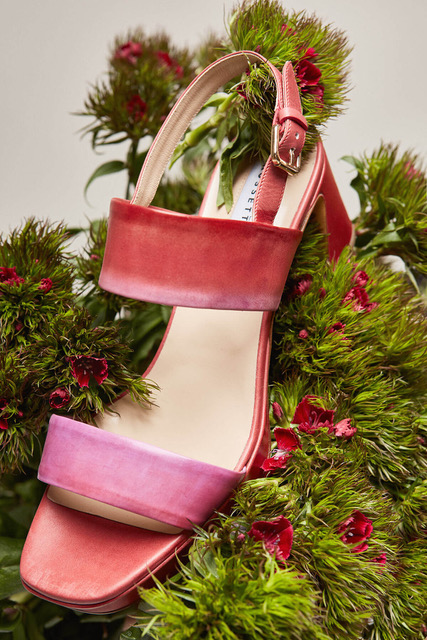 Shoes: FRATELLI ROSETTI