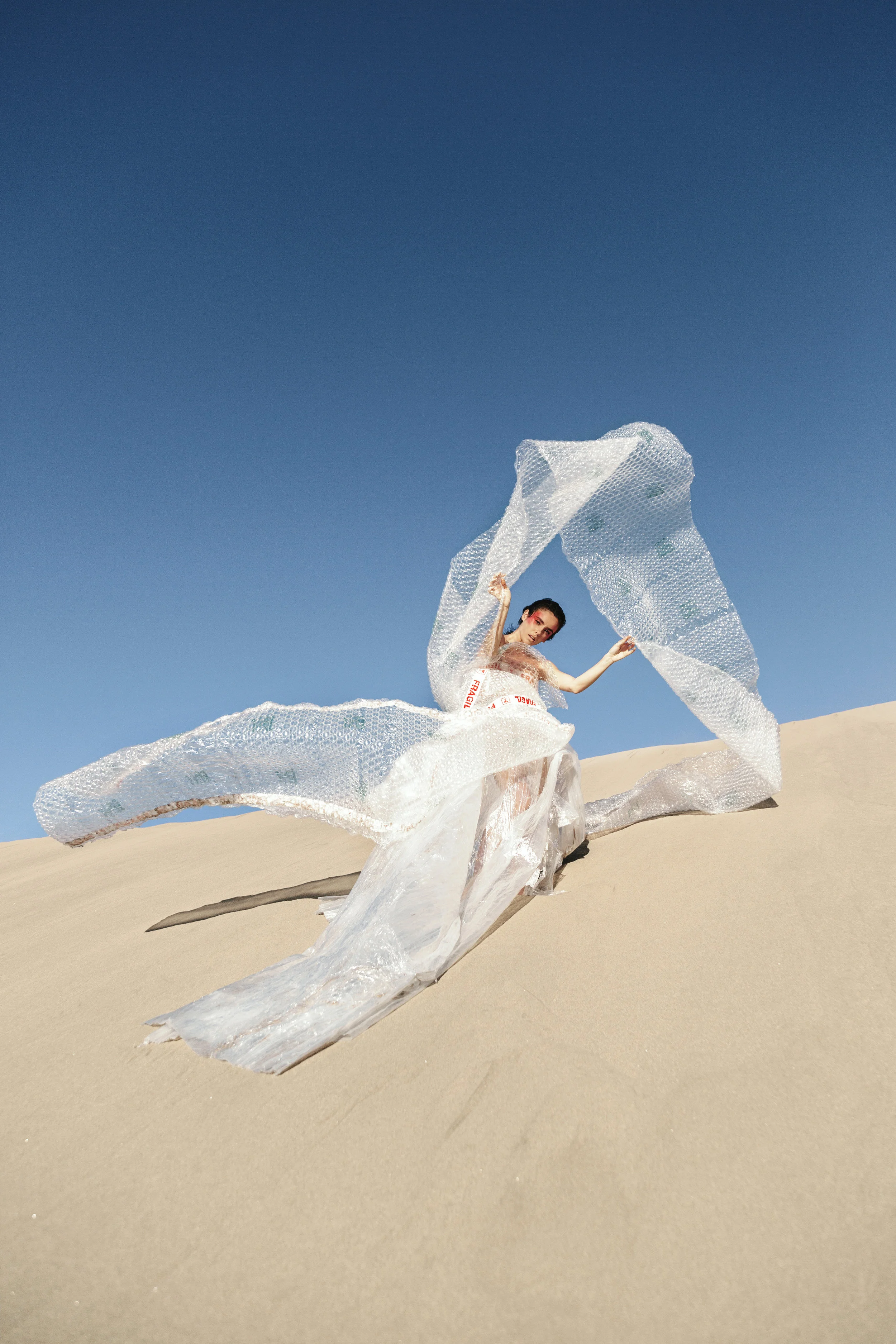 Plástica by Joaquin and Sofia_(1).jpg
