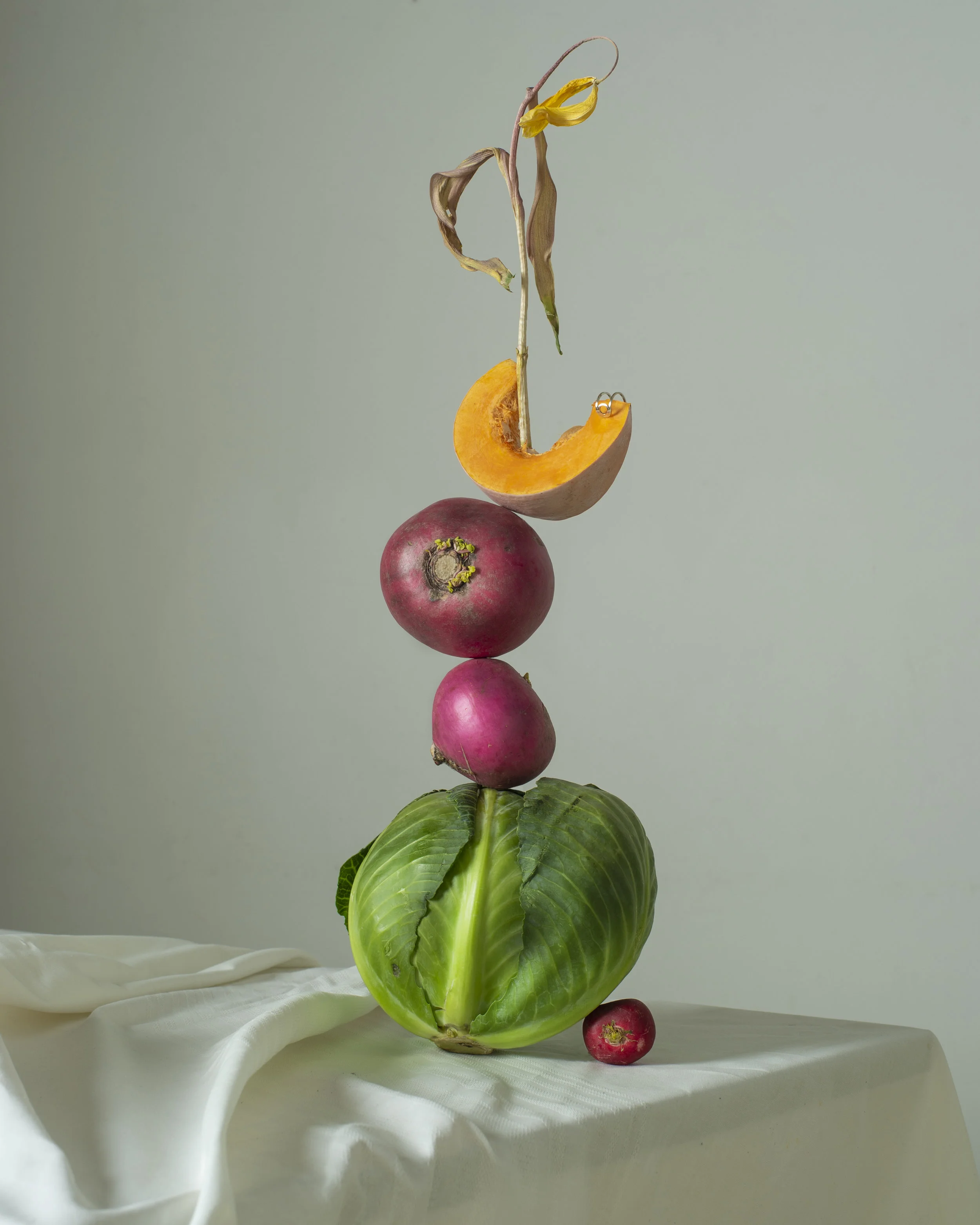 STILL LIFE Ring AVGVST