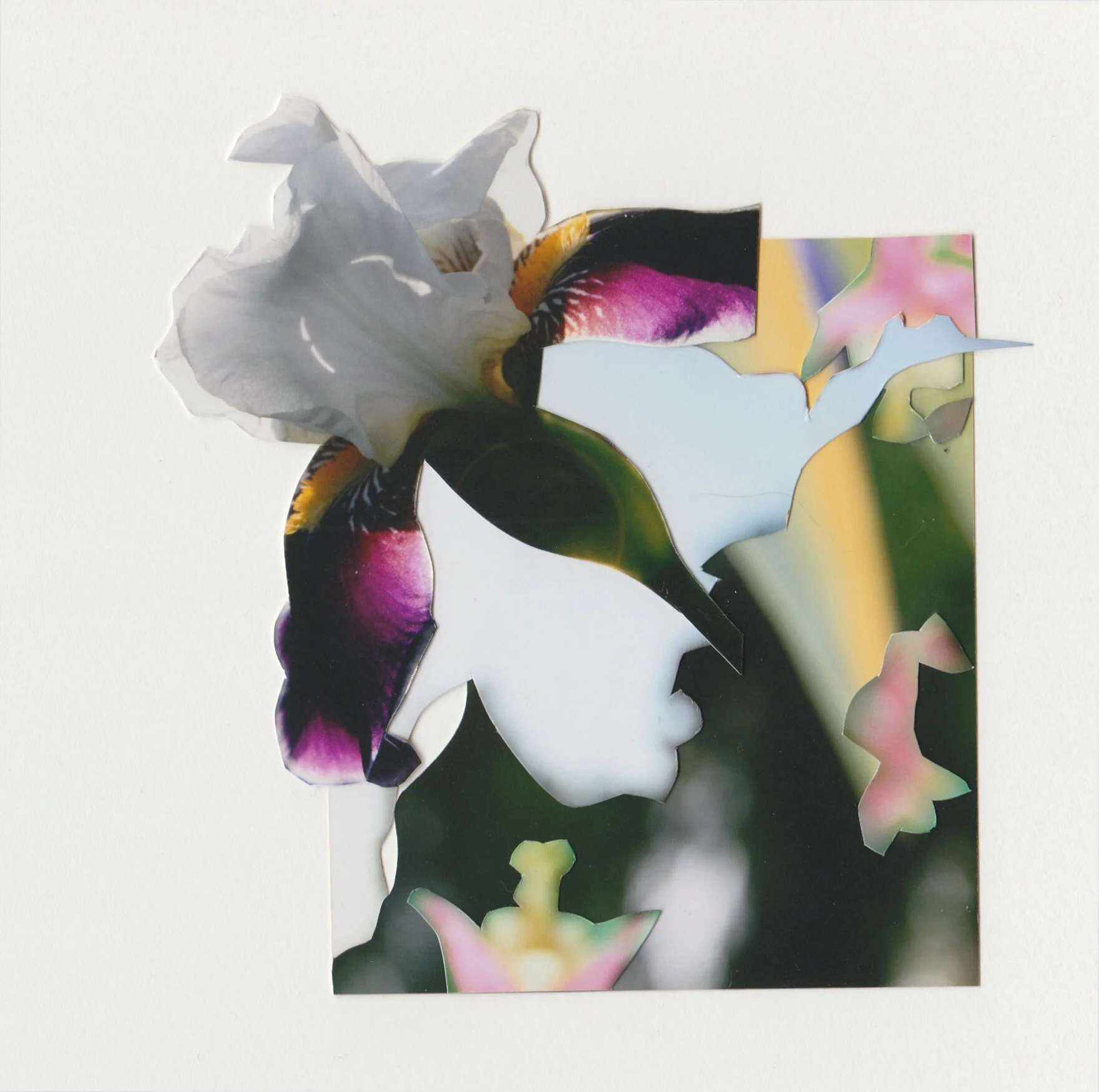 My mother loved helris flowersKyrsten Prock, Collaged Paper, 4x4 in.