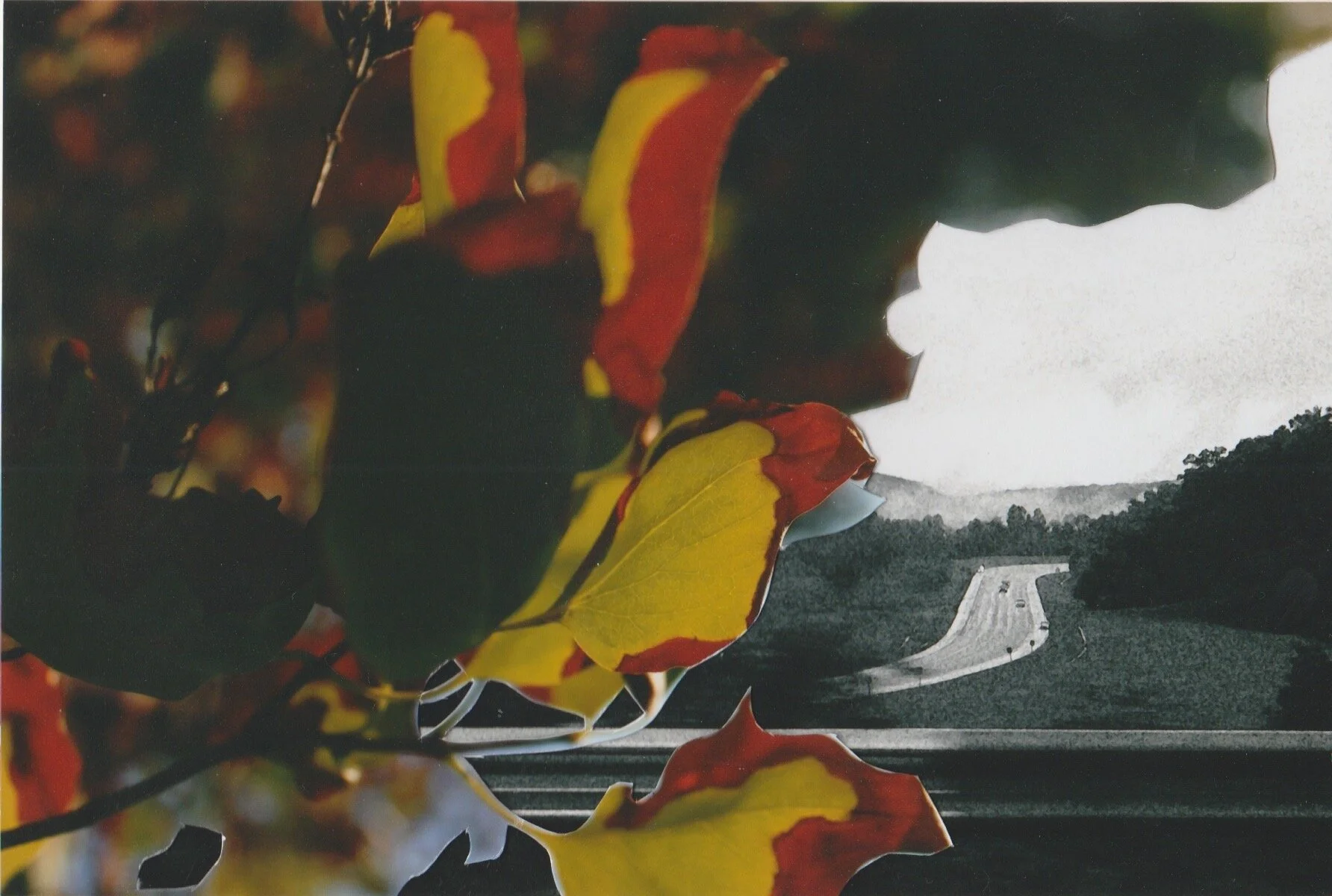 UntitledKyrsten Prock, collaged paper, 4x5 in.