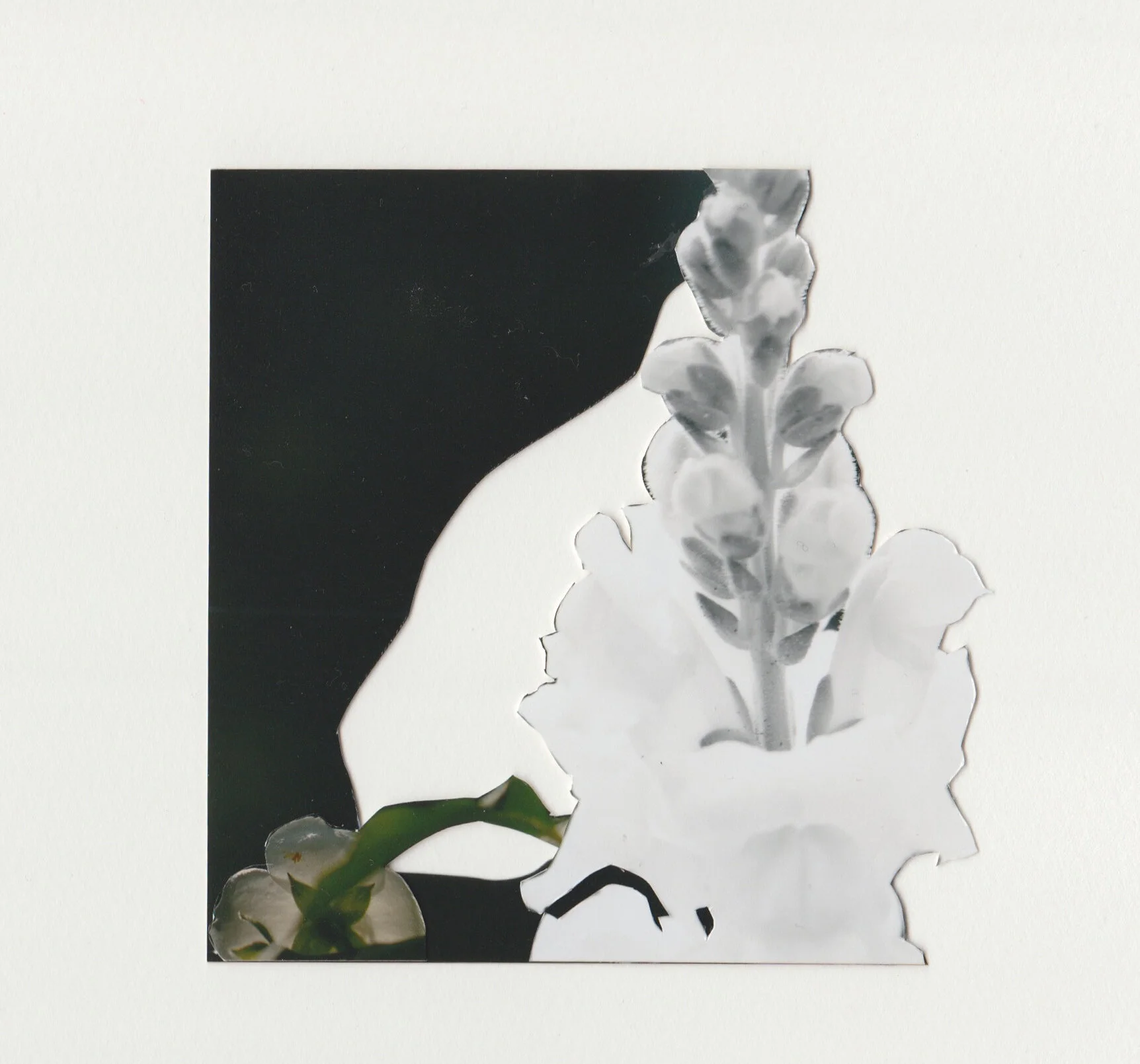 UntitledKyrsten Prock, collaged paper, 4x5 in.