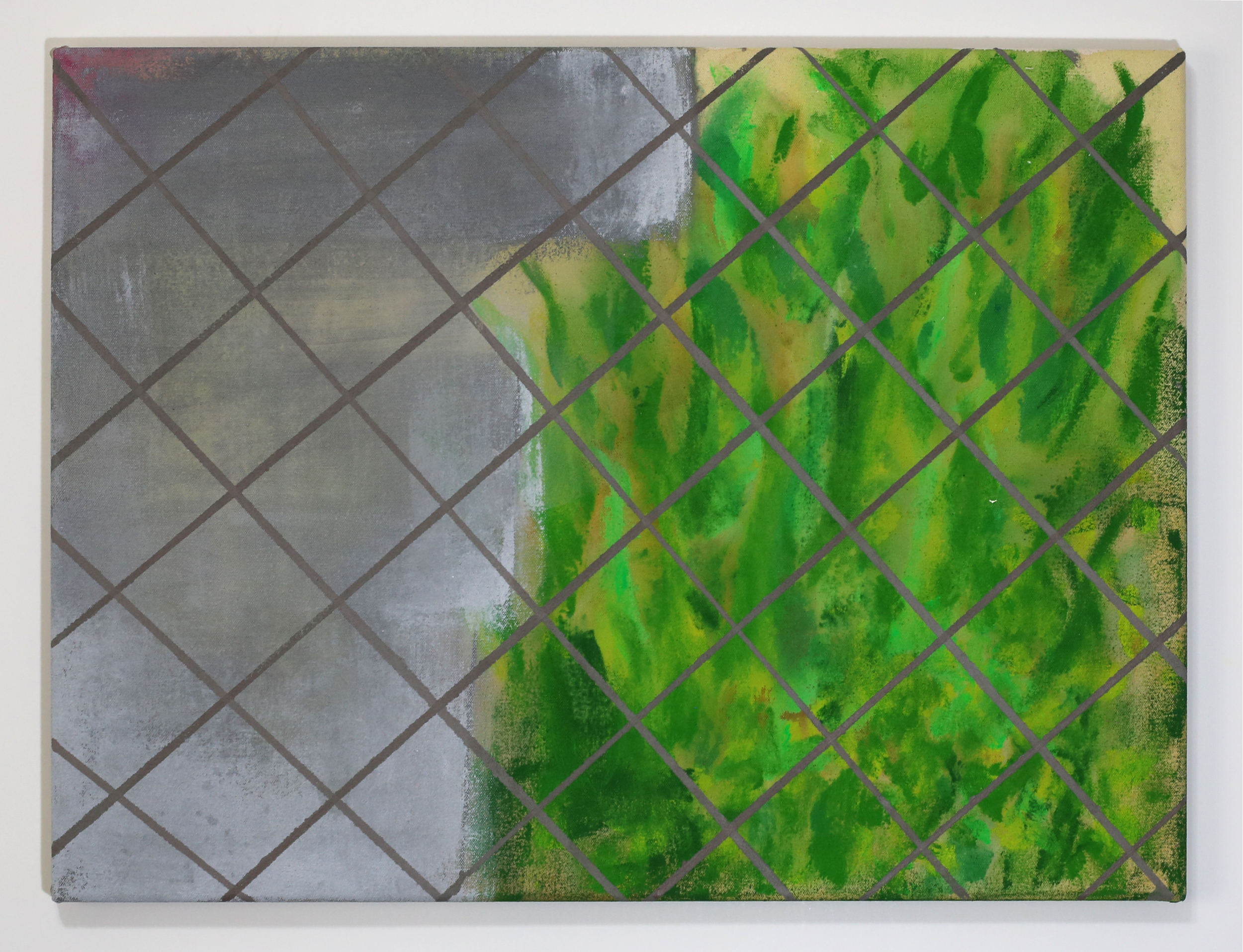 IMG_9137.png