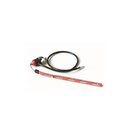 killswitch with lanyard.jpg