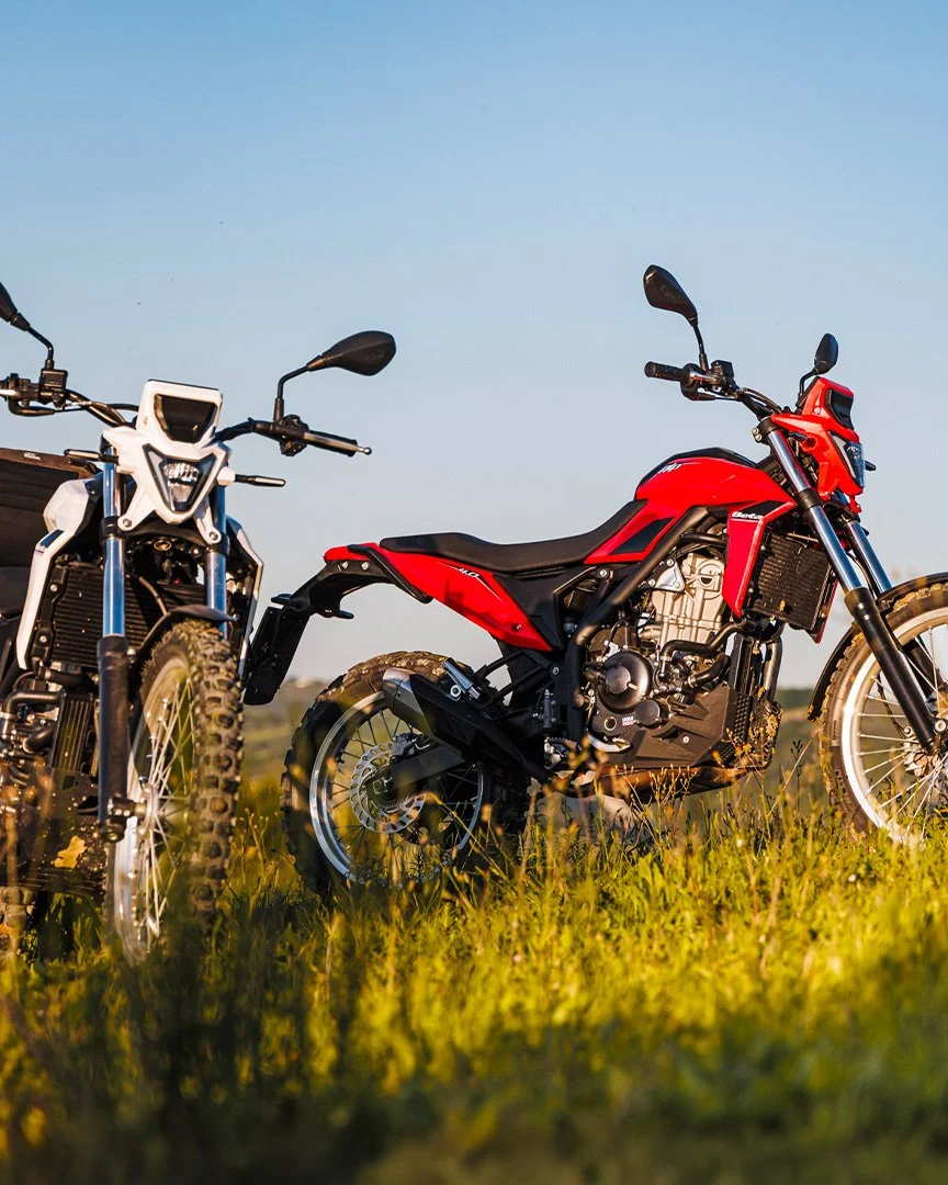 beta alp 4.0 trail bike - greenlaning - scrambler