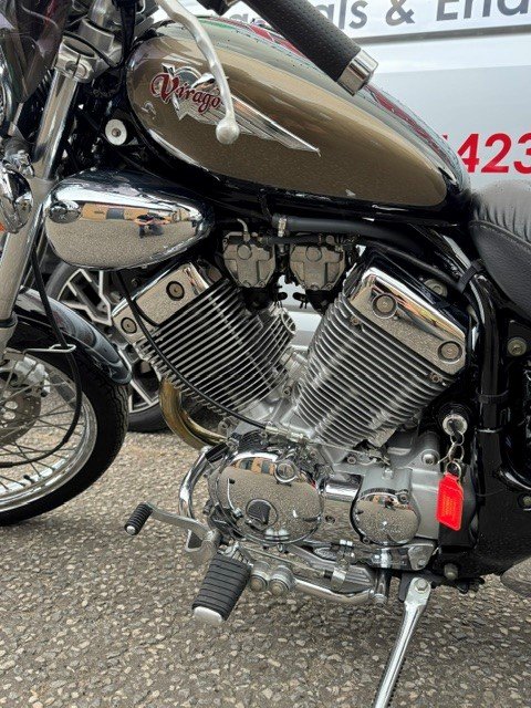 virago 11.jpg
