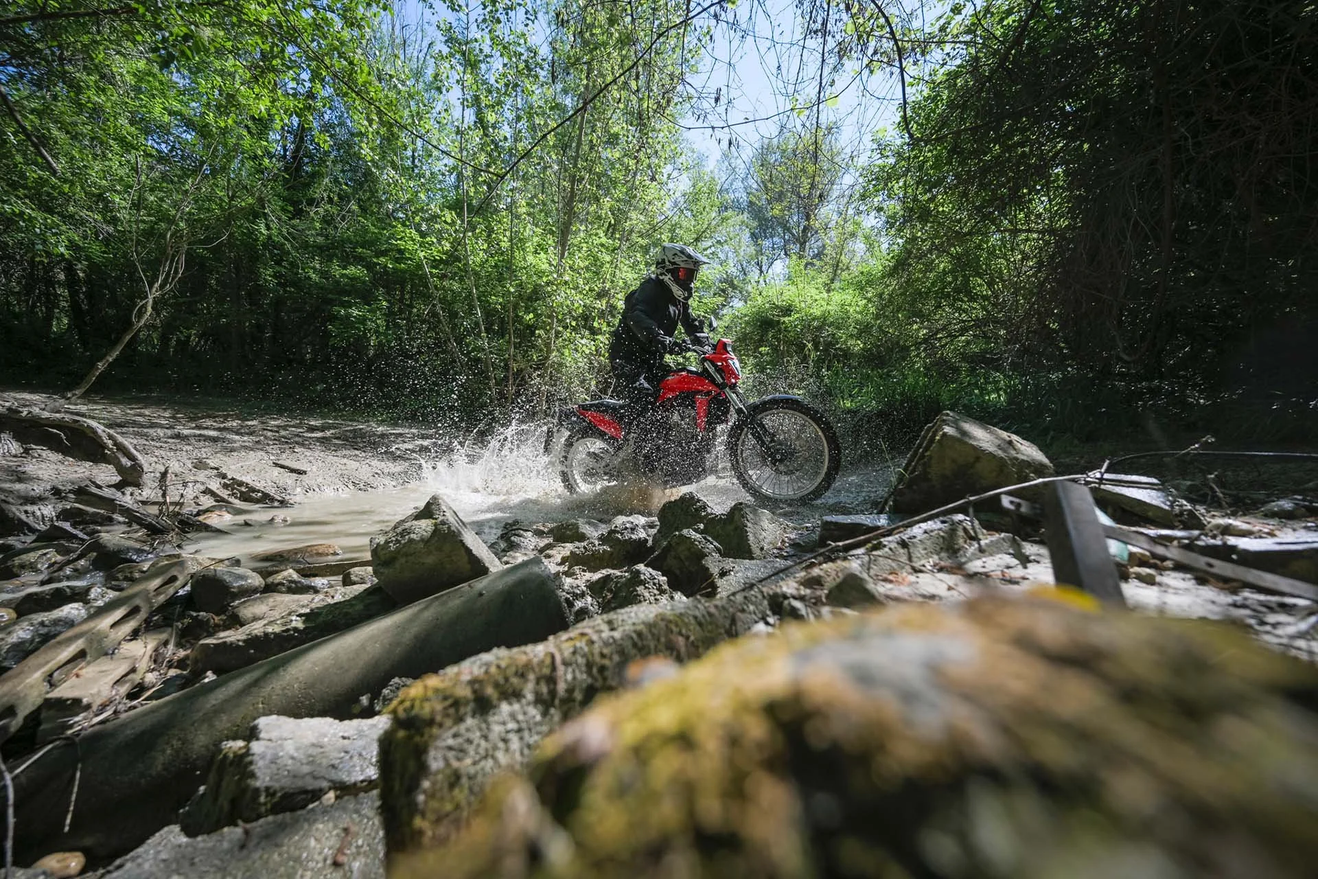 A person riding a red ALP 4.0 dirt bike through a shallow stream in a forest surrounded by green trees.