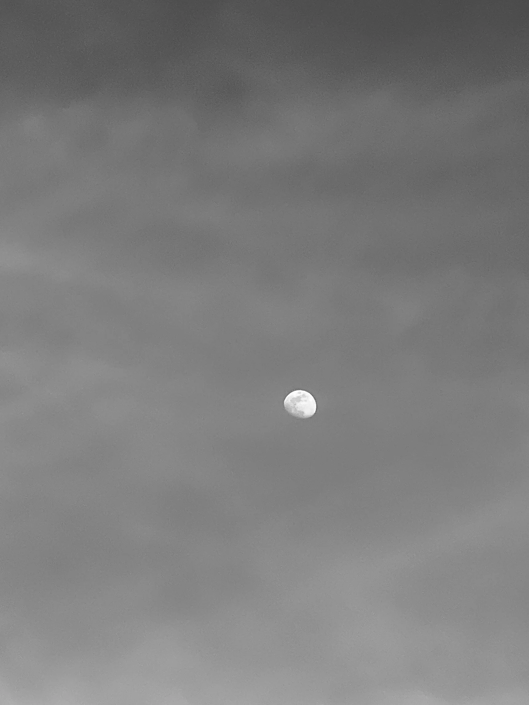 From the Writer's Table - Vol. 1