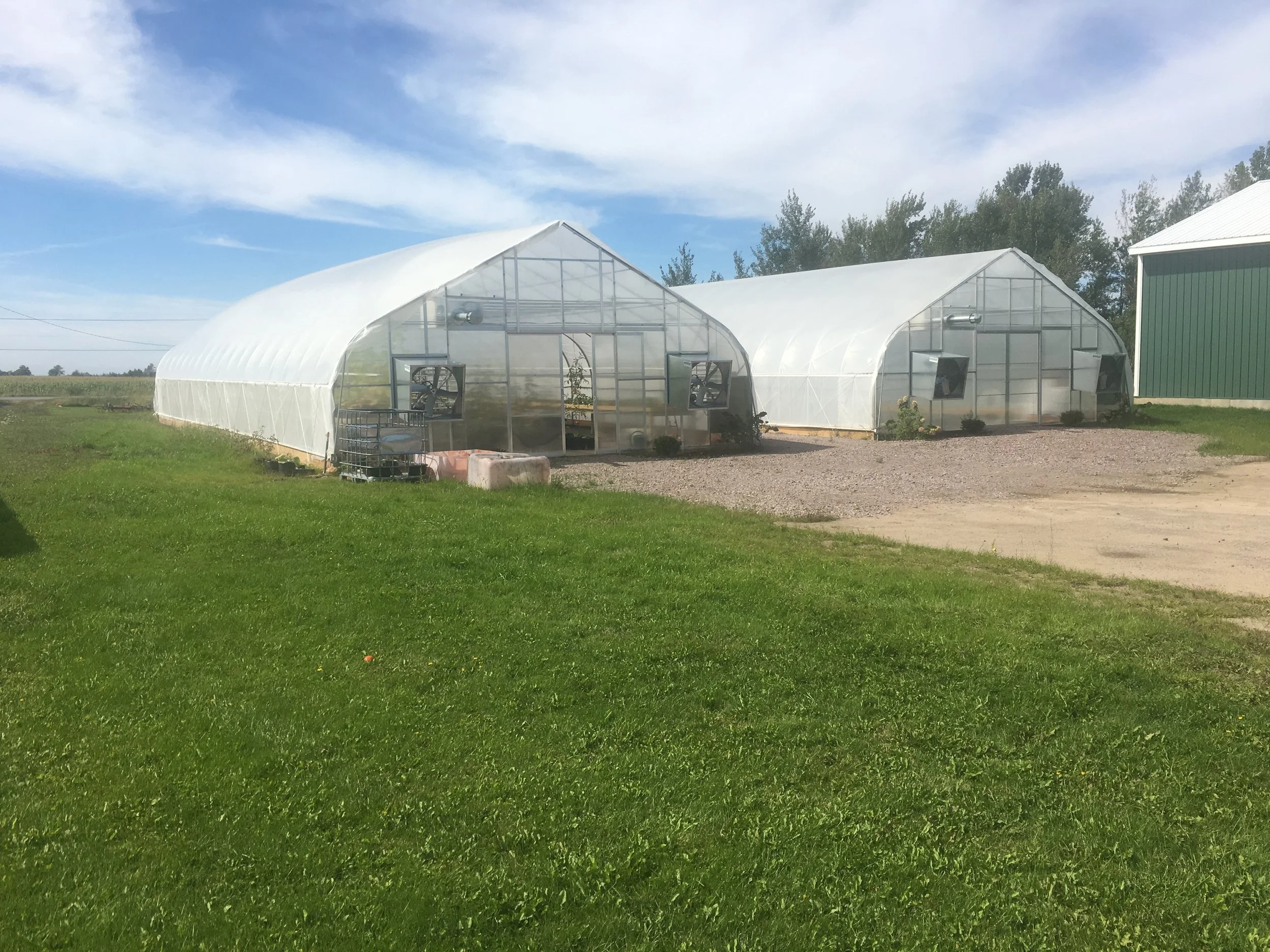 Photo of two large greenhouses, green grass, and a sunny blue sky.