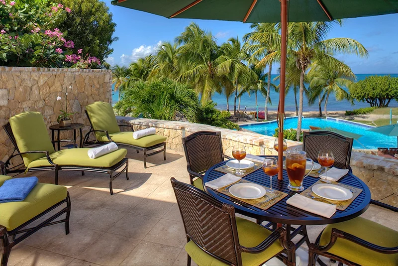 6 Ficus_Patio.jpg
