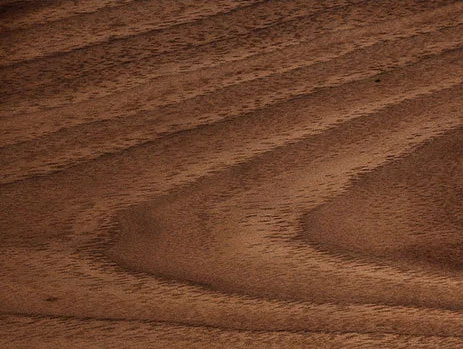 EasternWalnut.jpg