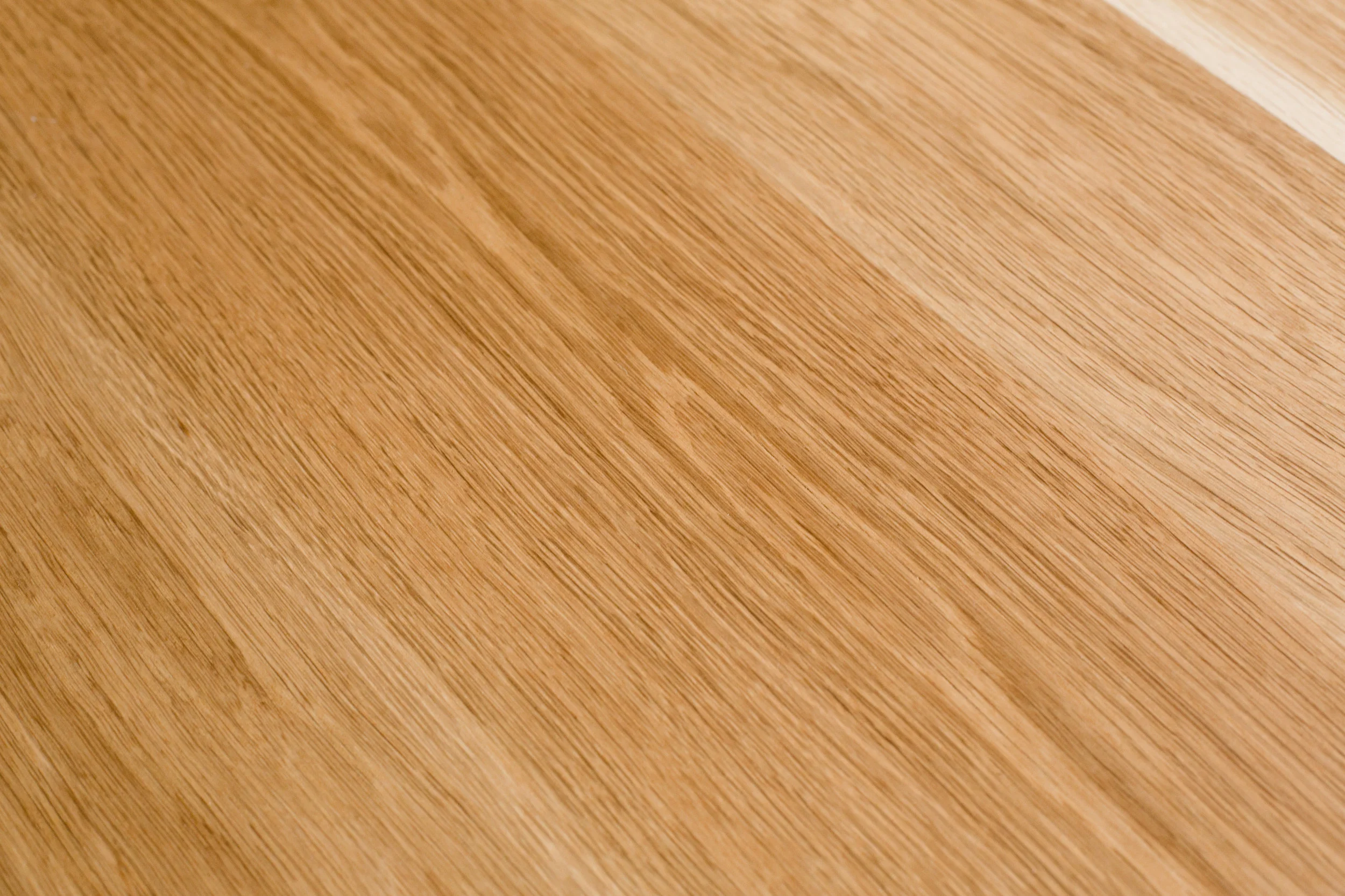 white oak.jpg