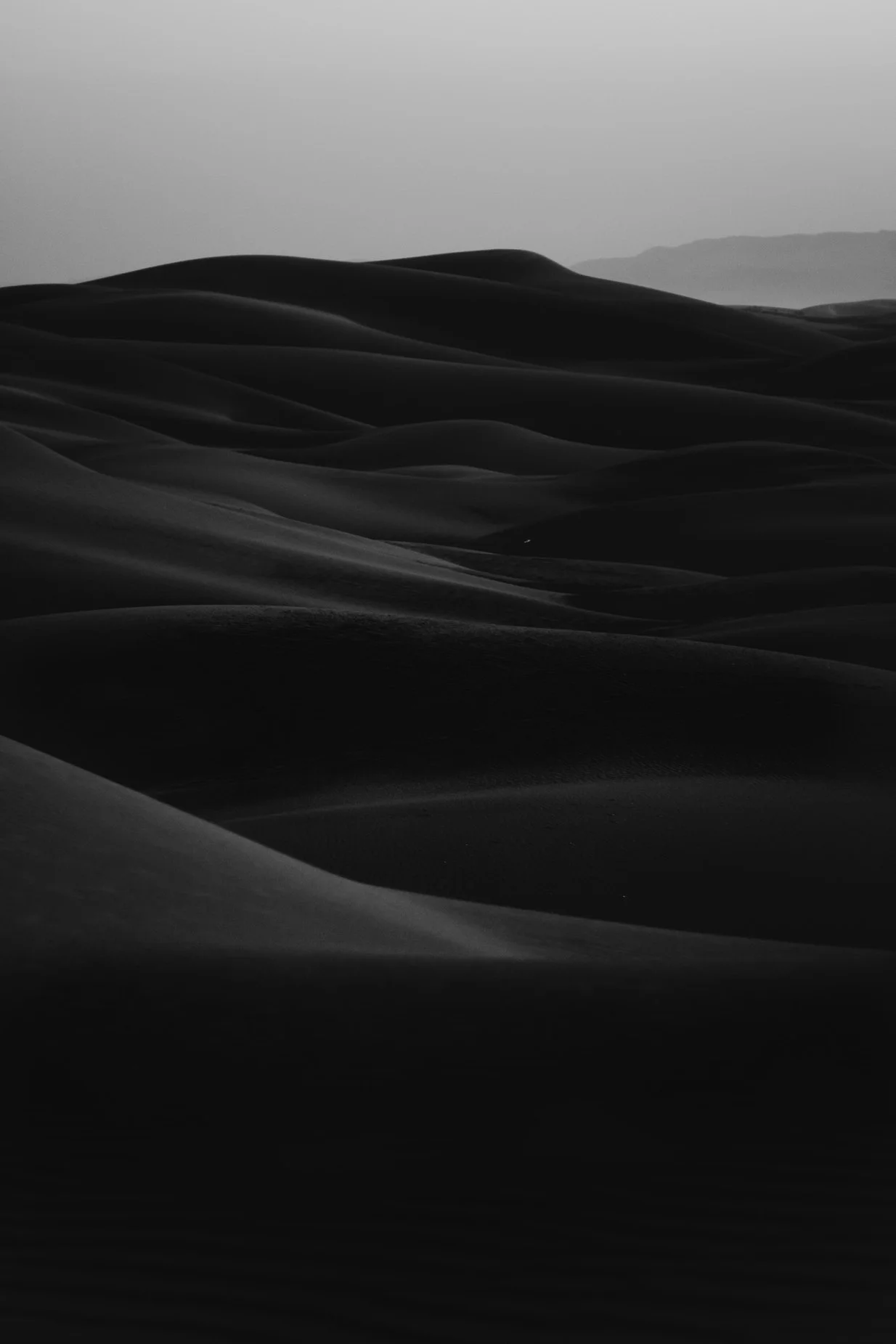 photo-1513569771920-c9e1d31714af.jpeg