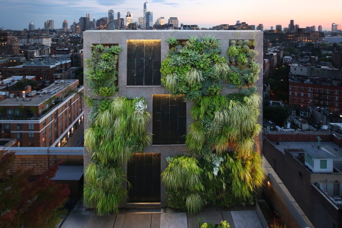 West Village living wall in Summer