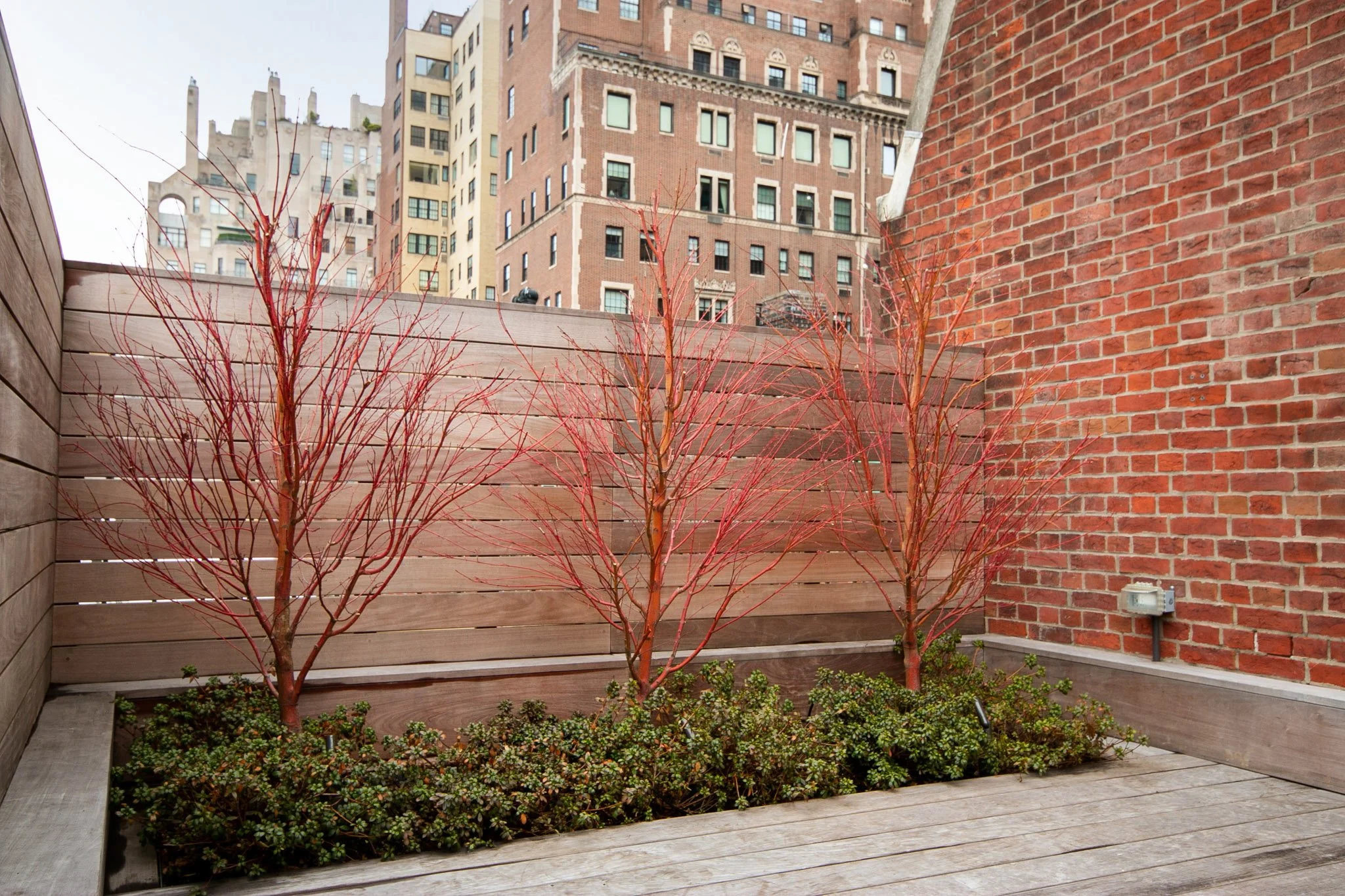 11_UPPER EAST SIDE ROOFTOP_sango kaku winter.jpg