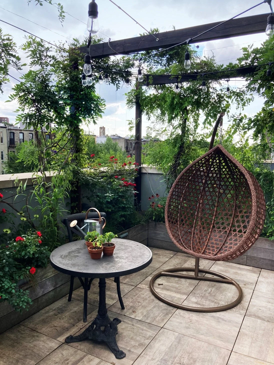 04_Terrace_PROSPECT HEIGHTS_egg chair wisteria pergola.jpg