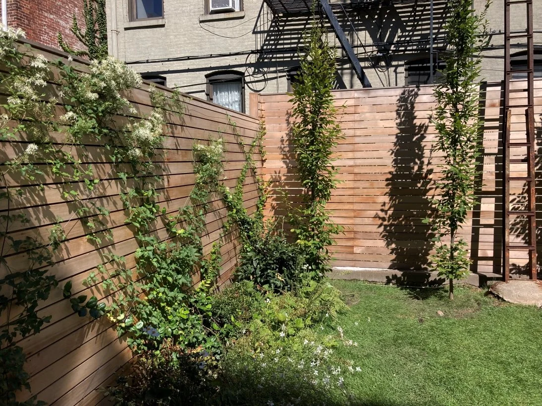 03_PARK SLOPE BACKYARD_clematis vine cedar fence.jpg