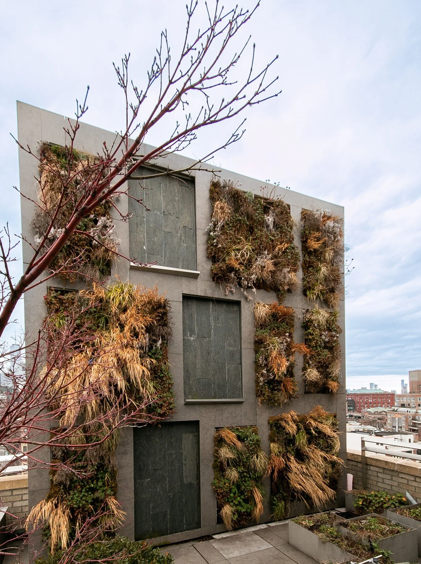 West Village living wall in winter