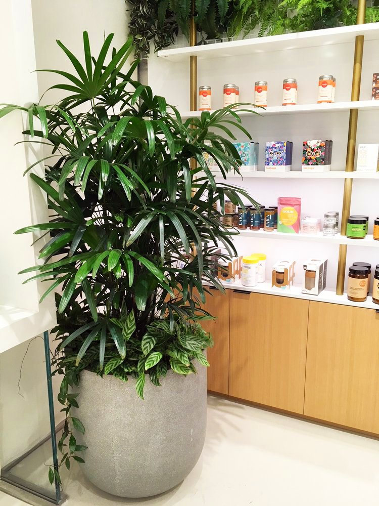 3 Clean Market Brookfield tall planter.jpg