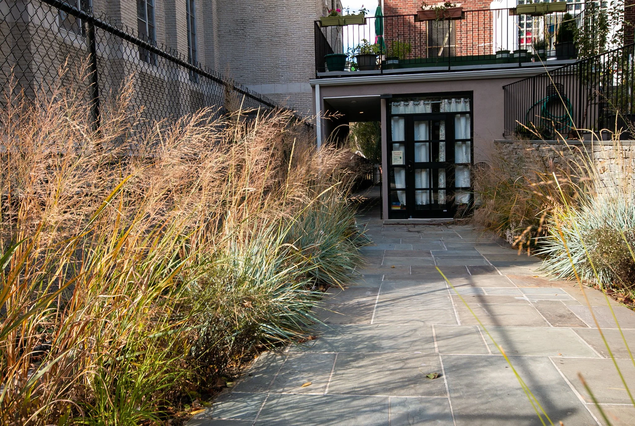 Spuyten dyvil Preschool Fall Planting  Grasses.jpg