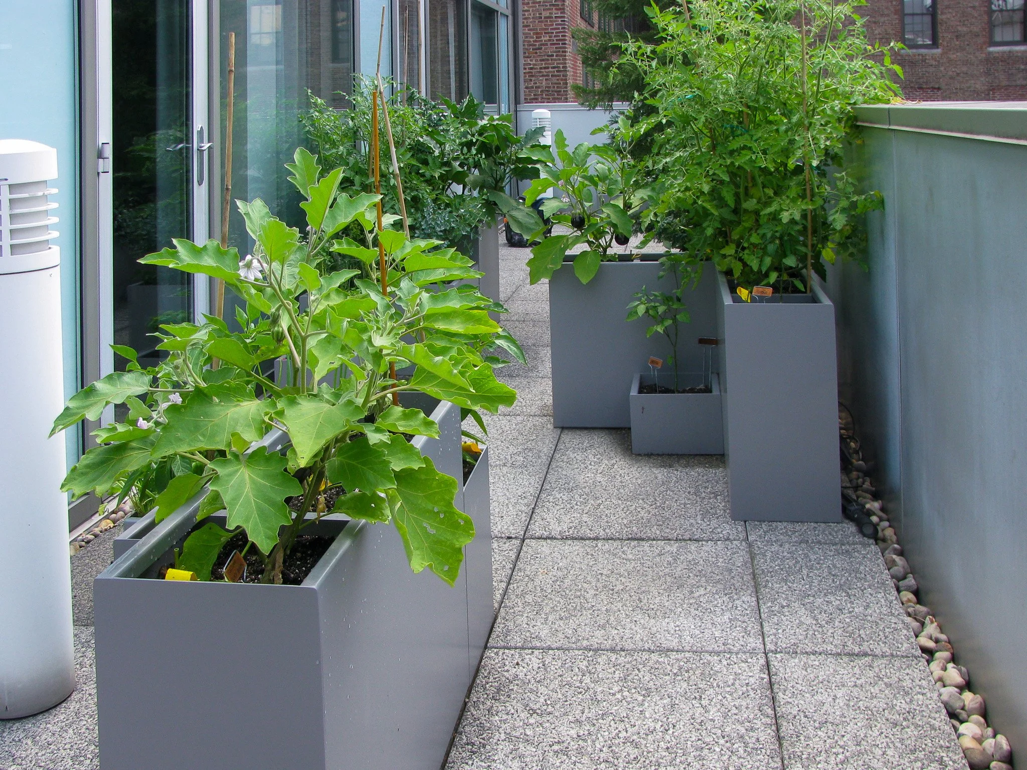 2 Terrace Vegetable Garden.jpg