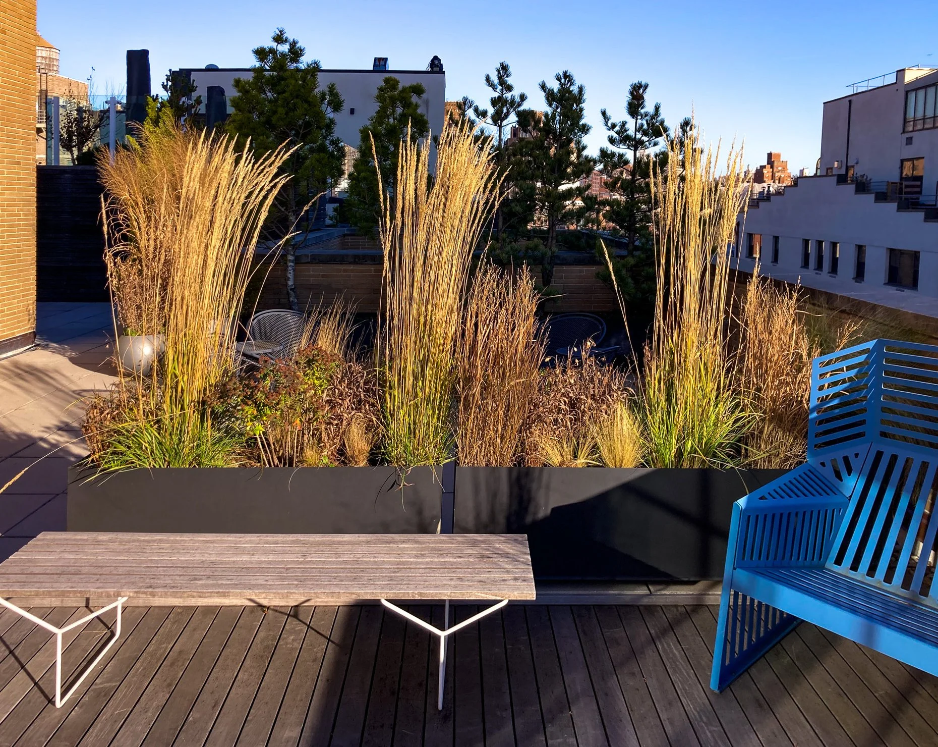 Rooftop Meatpacking (18).jpg
