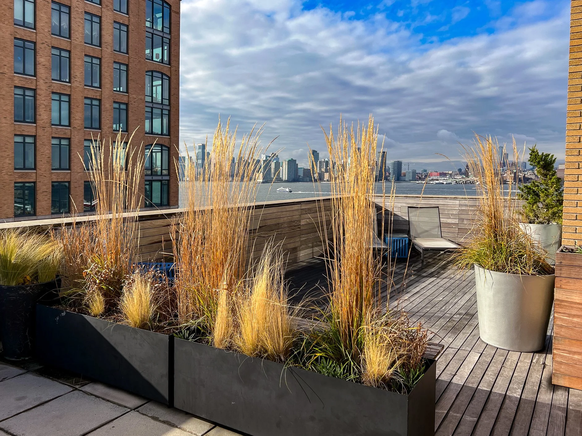 West Village Rooftop — Blue Dahlia