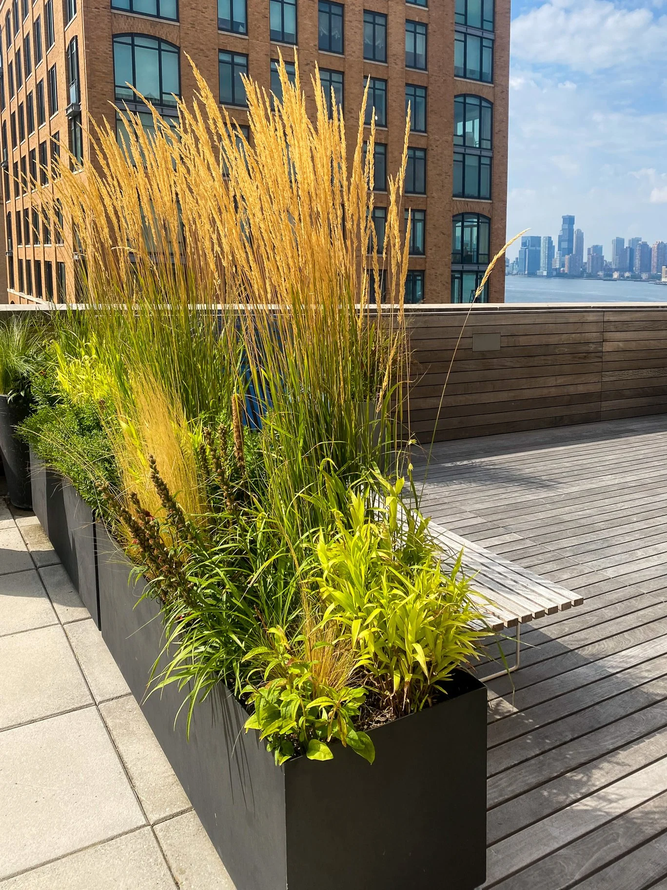 Rooftop Meatpacking (14).jpg