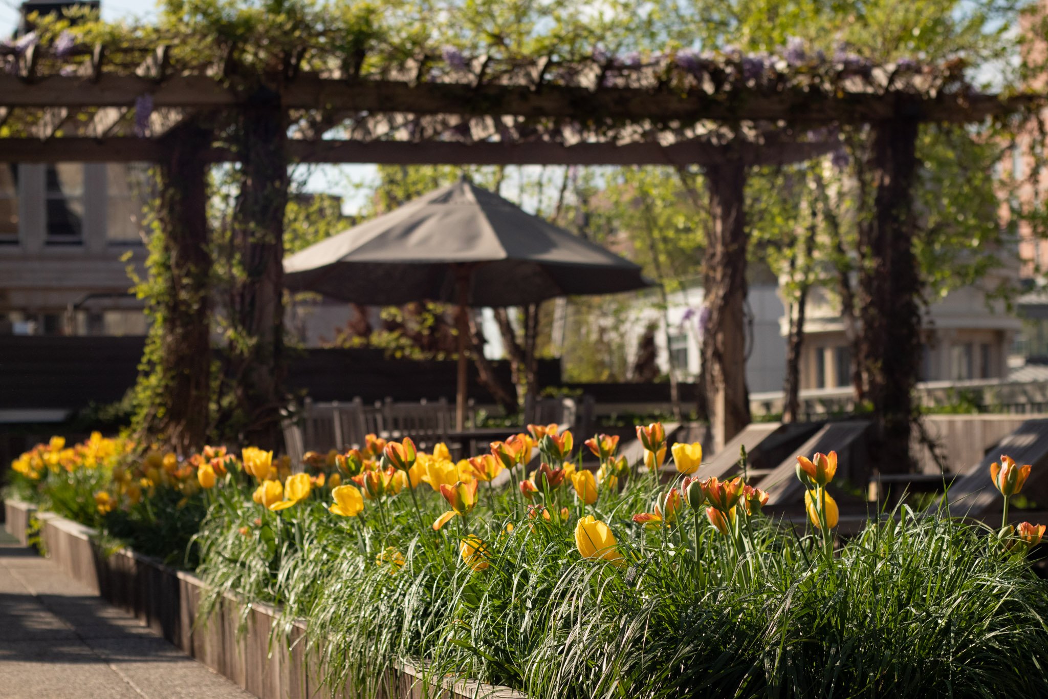 Rooftop_Flatiron_Tulip display_lounge (8).jpg
