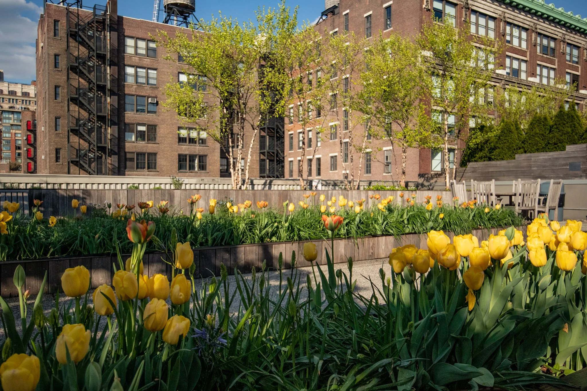Rooftop_Flatiron_Tulip display_lounge (9).jpg