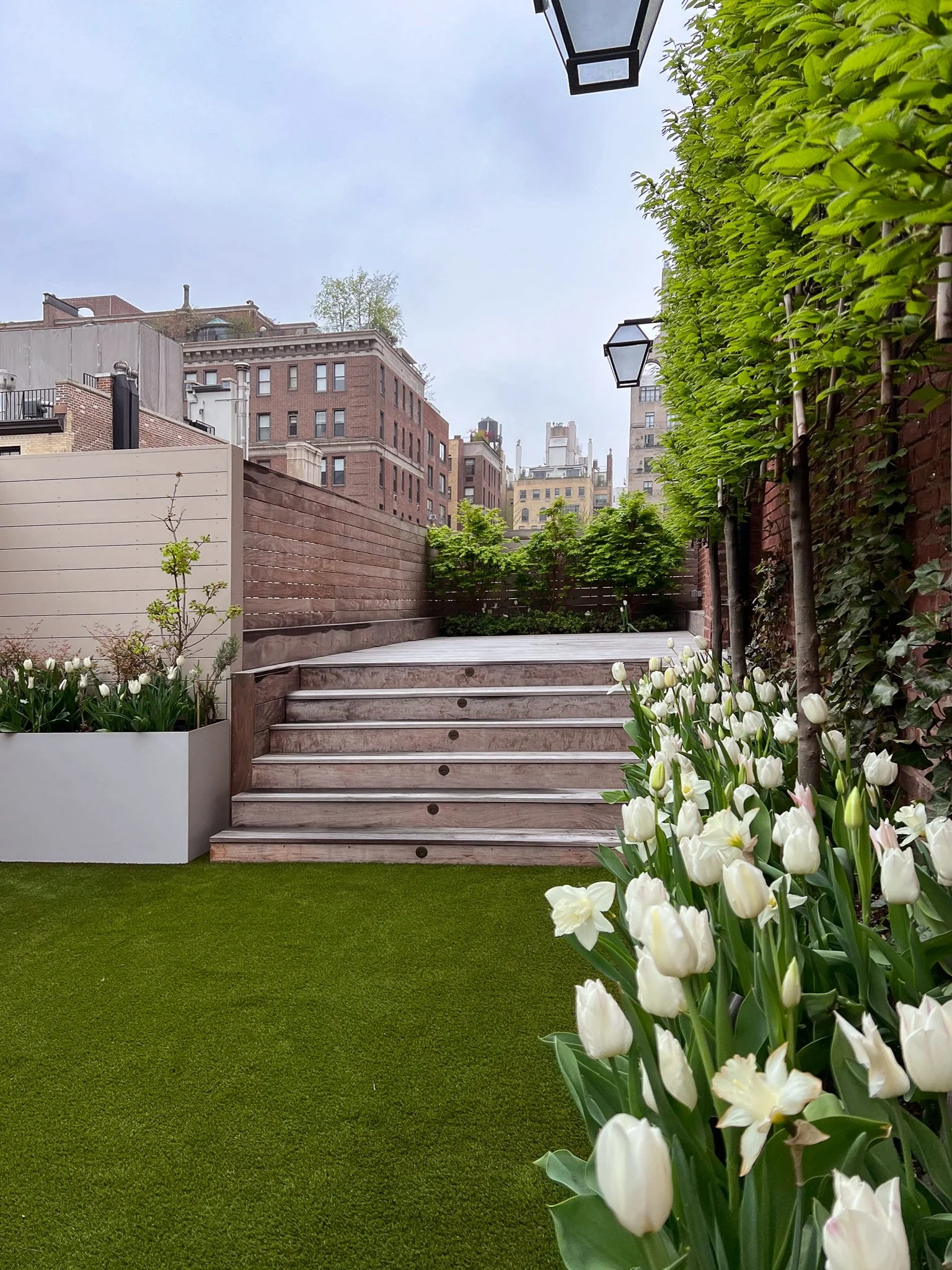 Upper east side_espalier_bulbs_spring_white tulip (2).jpg