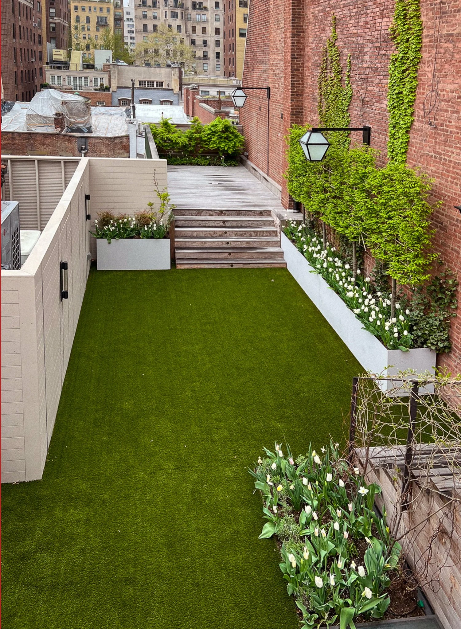 Upper east side_espalier_bulbs_spring_white tulip (1).jpg
