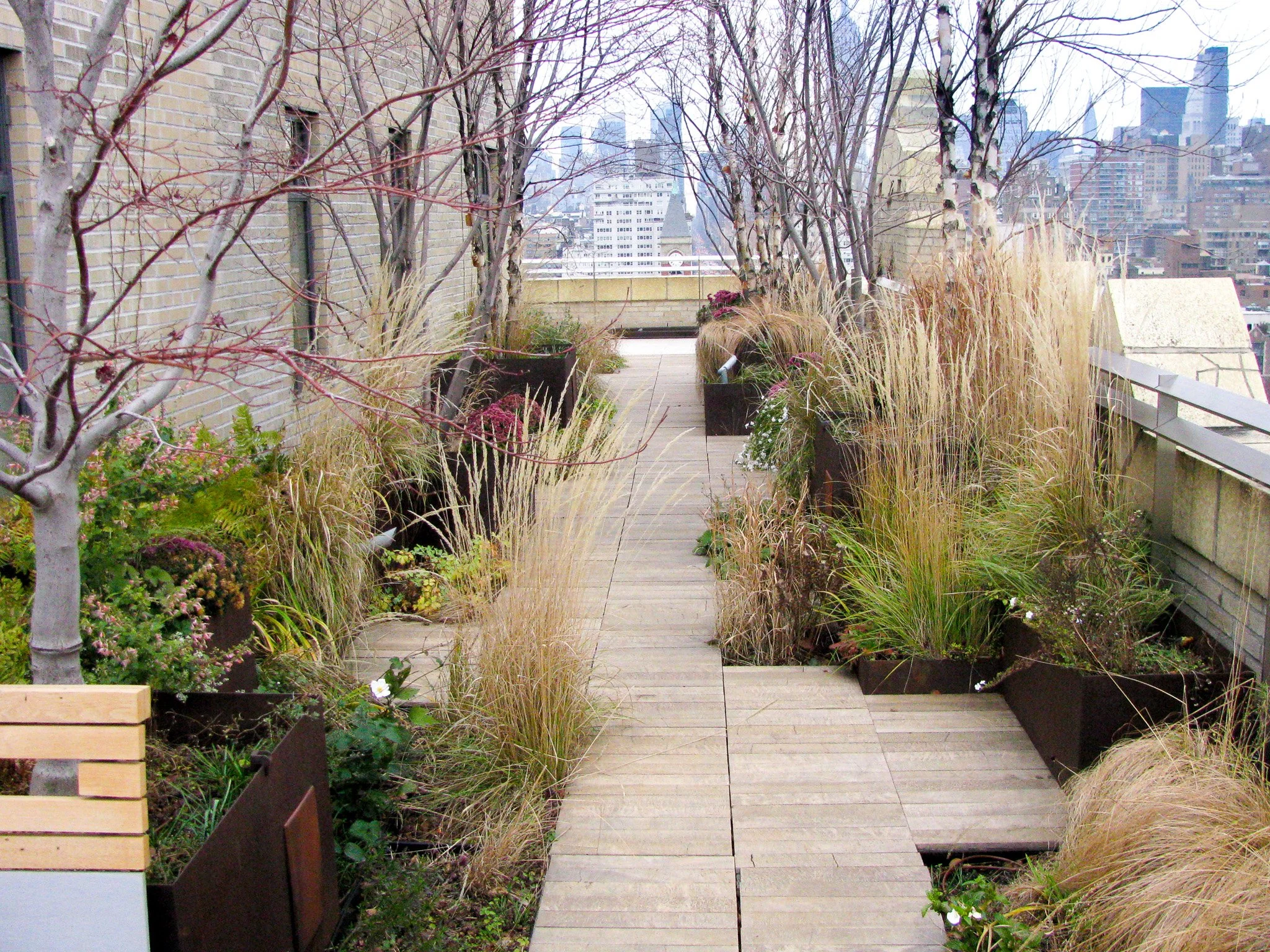 Penthouse living wall grove (14).jpg
