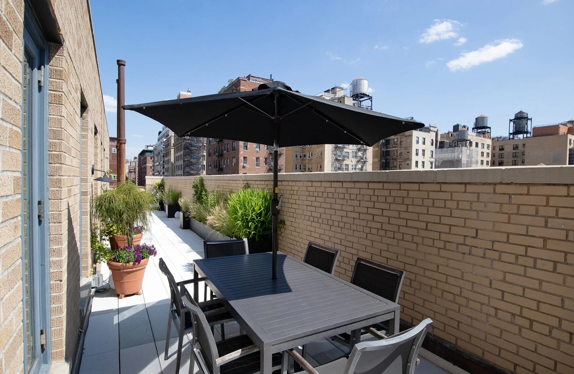 Terrace garden upper west side low maintenance dog ornamental grass (11).jpg