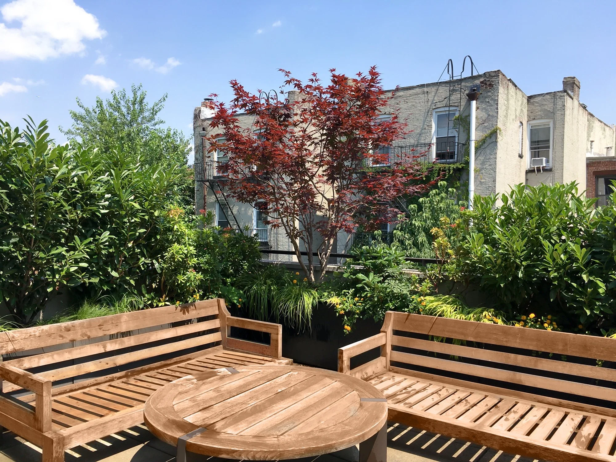 Brooklyn townhouse.jpg
