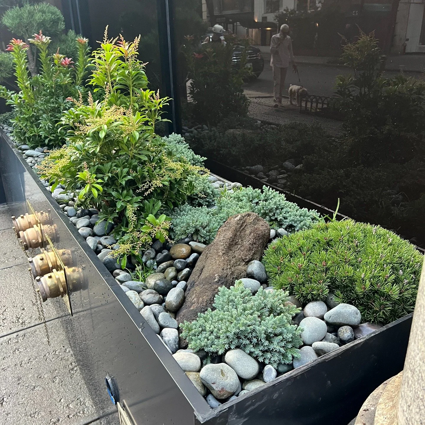 One of our newest designs has come to life! 

With nods to a traditional Japanese Garden, we created a modern take appropriate for a store front space in NYC. River stones mimic a flowing stream, moss rocks reference mountains and hills, and small sc