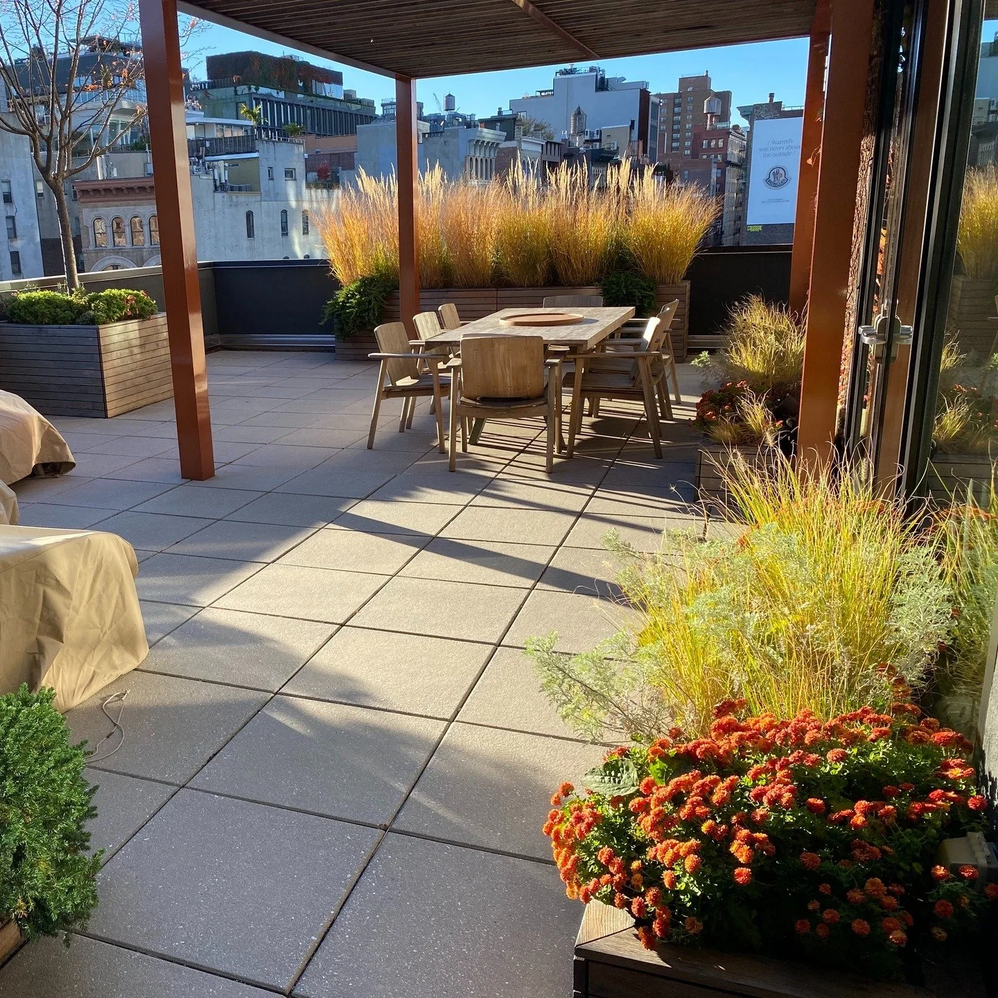 Posting a few recent photos from a maintenance visit about 2 weeks ago to this terrace designed and installed by Future Green.

BD added a mass of tall Panicum and Feather Reed grass to screen nosey neighbors from peeking in while the family living h