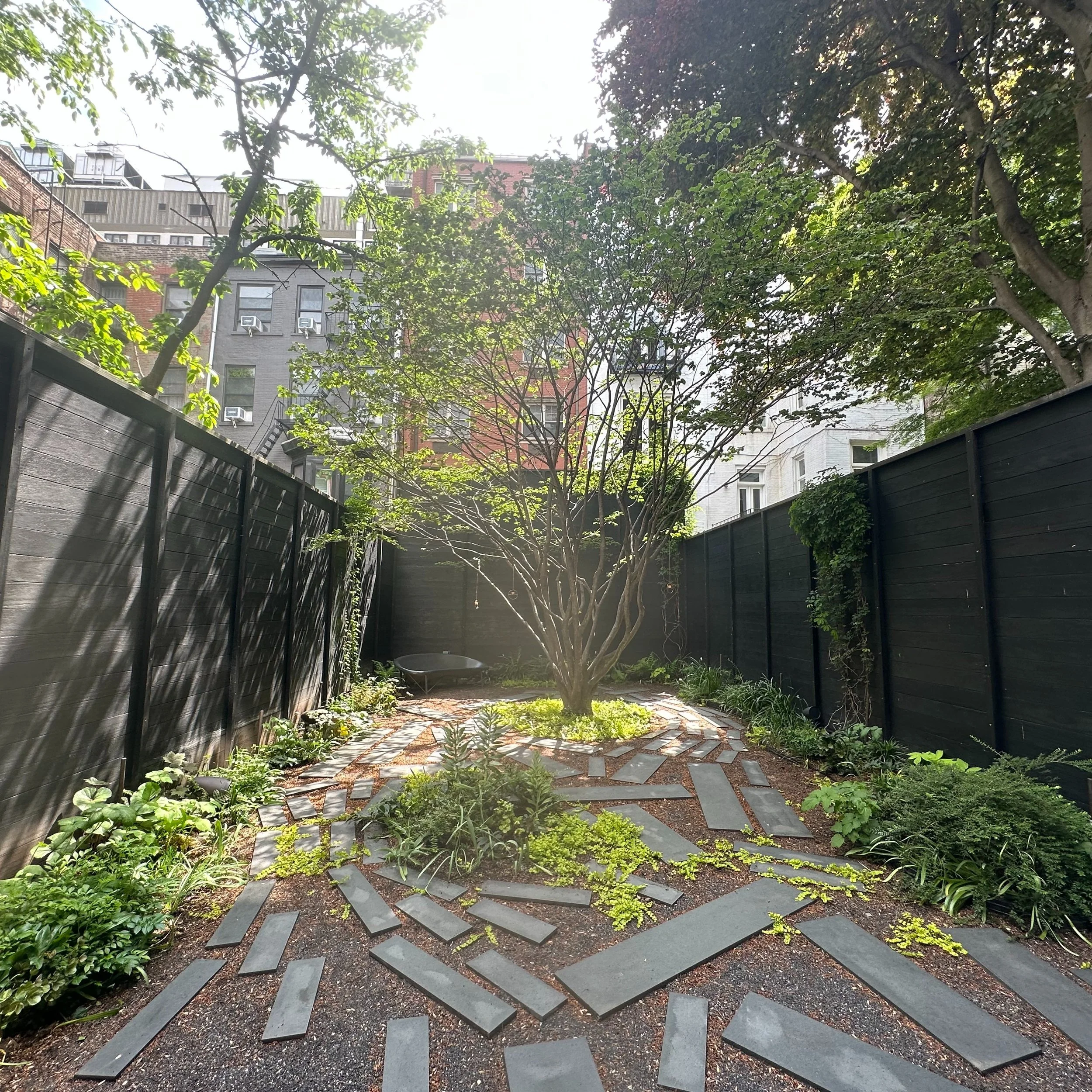 Perennial understory and vine layers are growing so quickly with the longer days leading up to the summer solstice in this backyard garden centered around a specimen Witch Hazel.

Designed and built by Future Green and O'Neill Rose Architects.