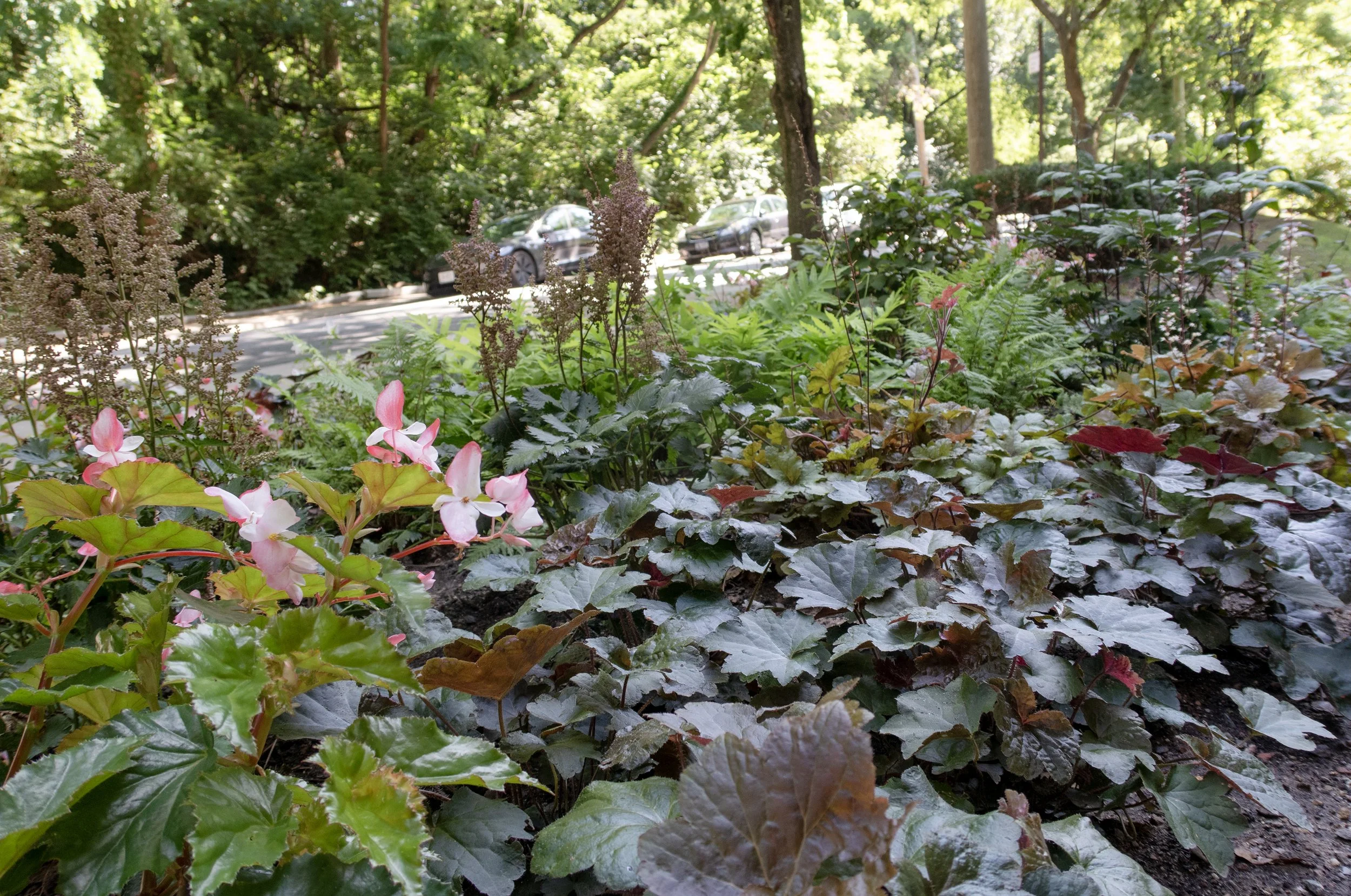 1_Plants_street_0520_WEB.jpg