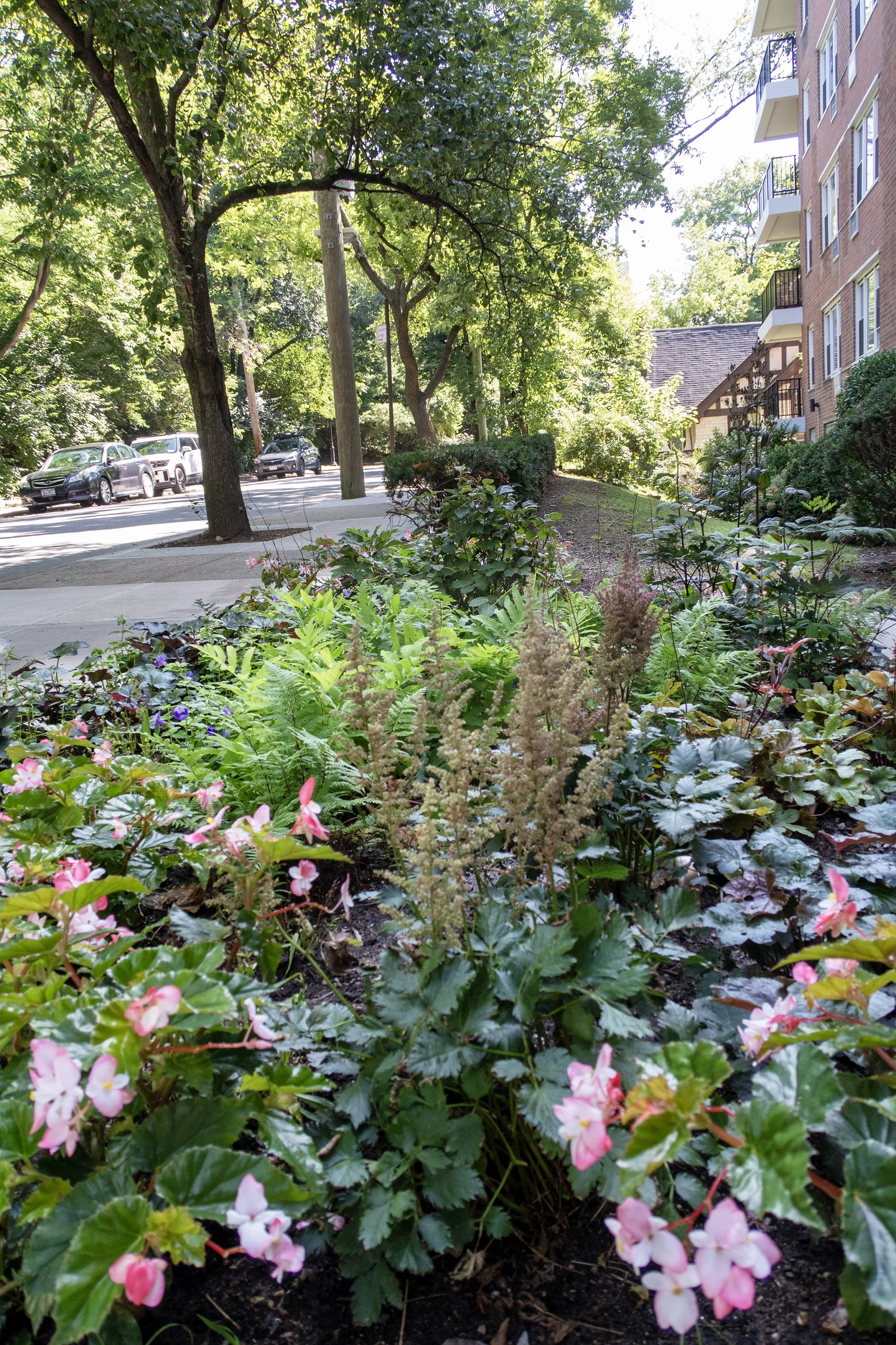 1_Vertical_plants_street_0525_WEB.jpg