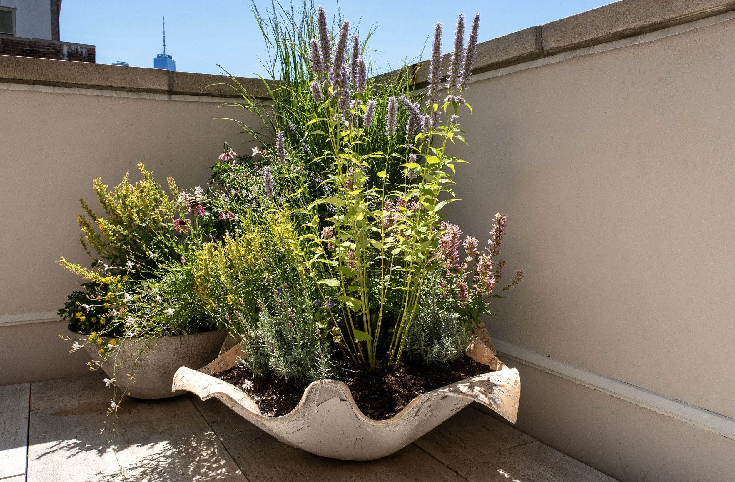 1_Pedersen_LeftCorner_0556_WEB.jpg