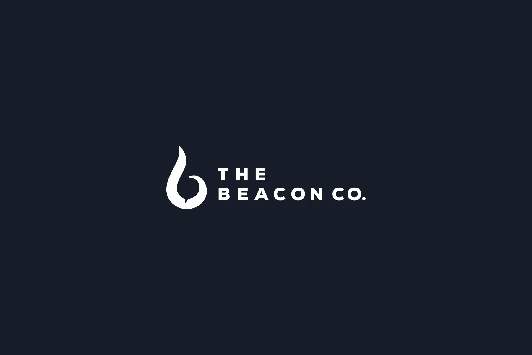 flaco_thebeaconco_01.jpg