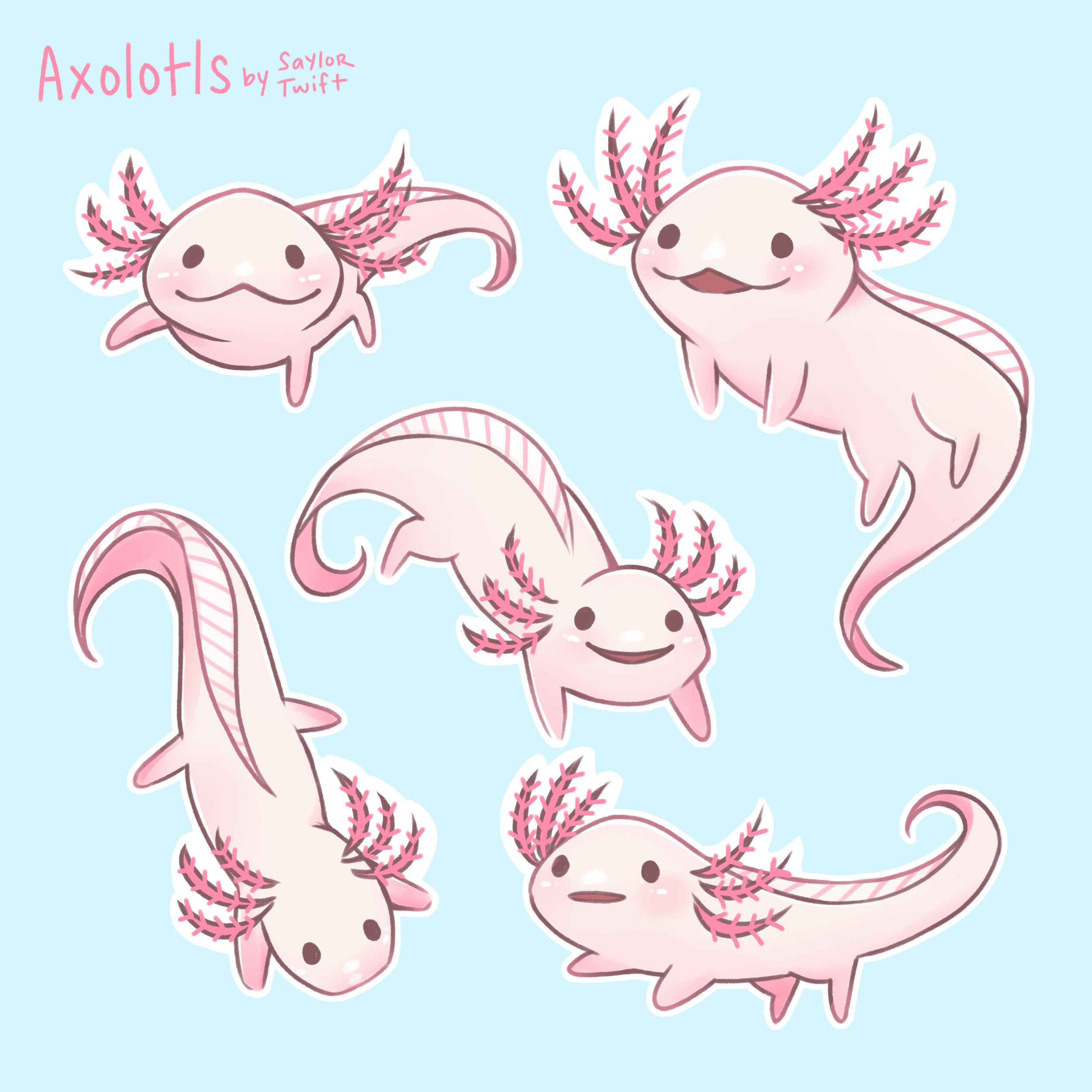 axolotl.jpg