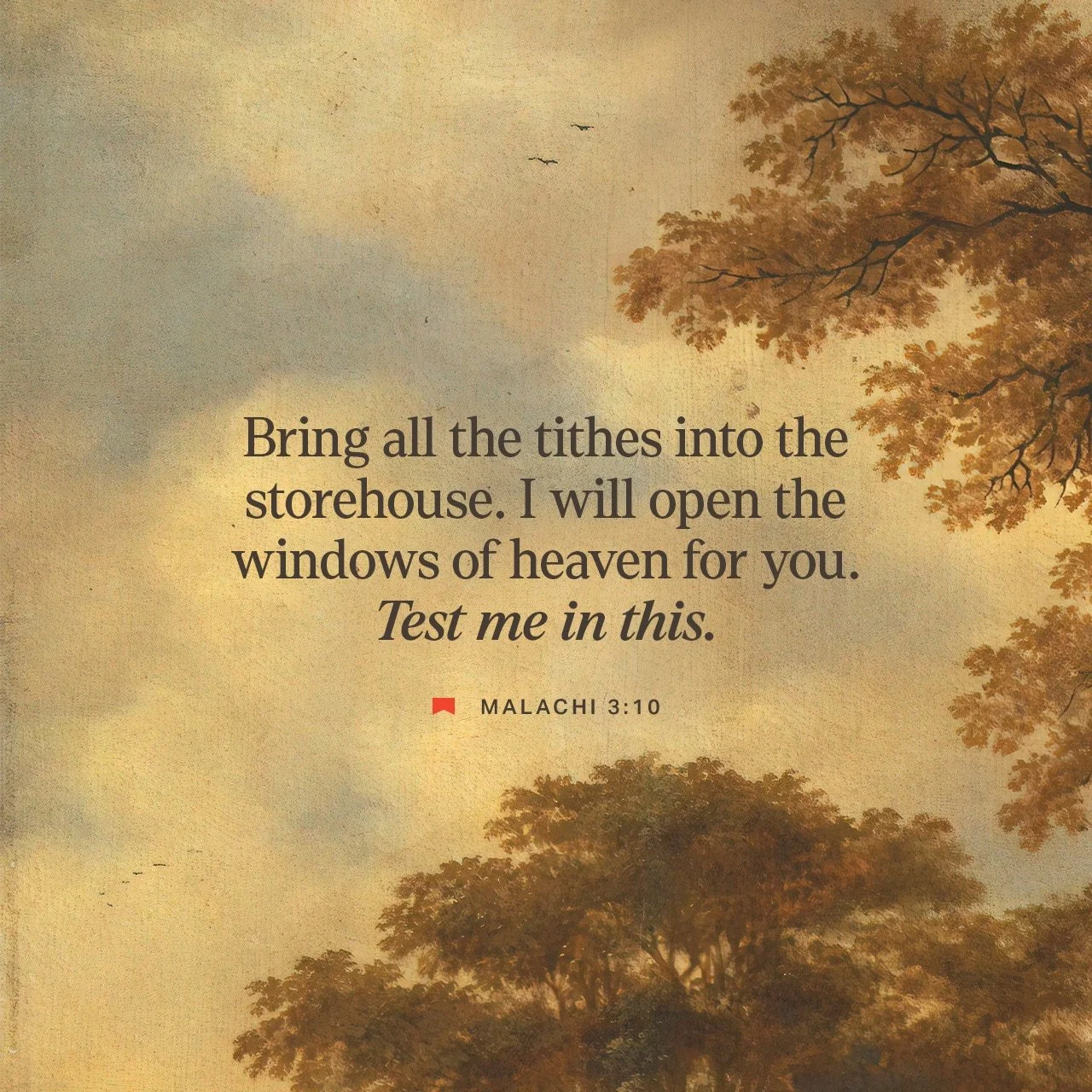 🌧️ Blessings overflow when we trust Him with what we have. Generosity unlocks heaven's abundance.