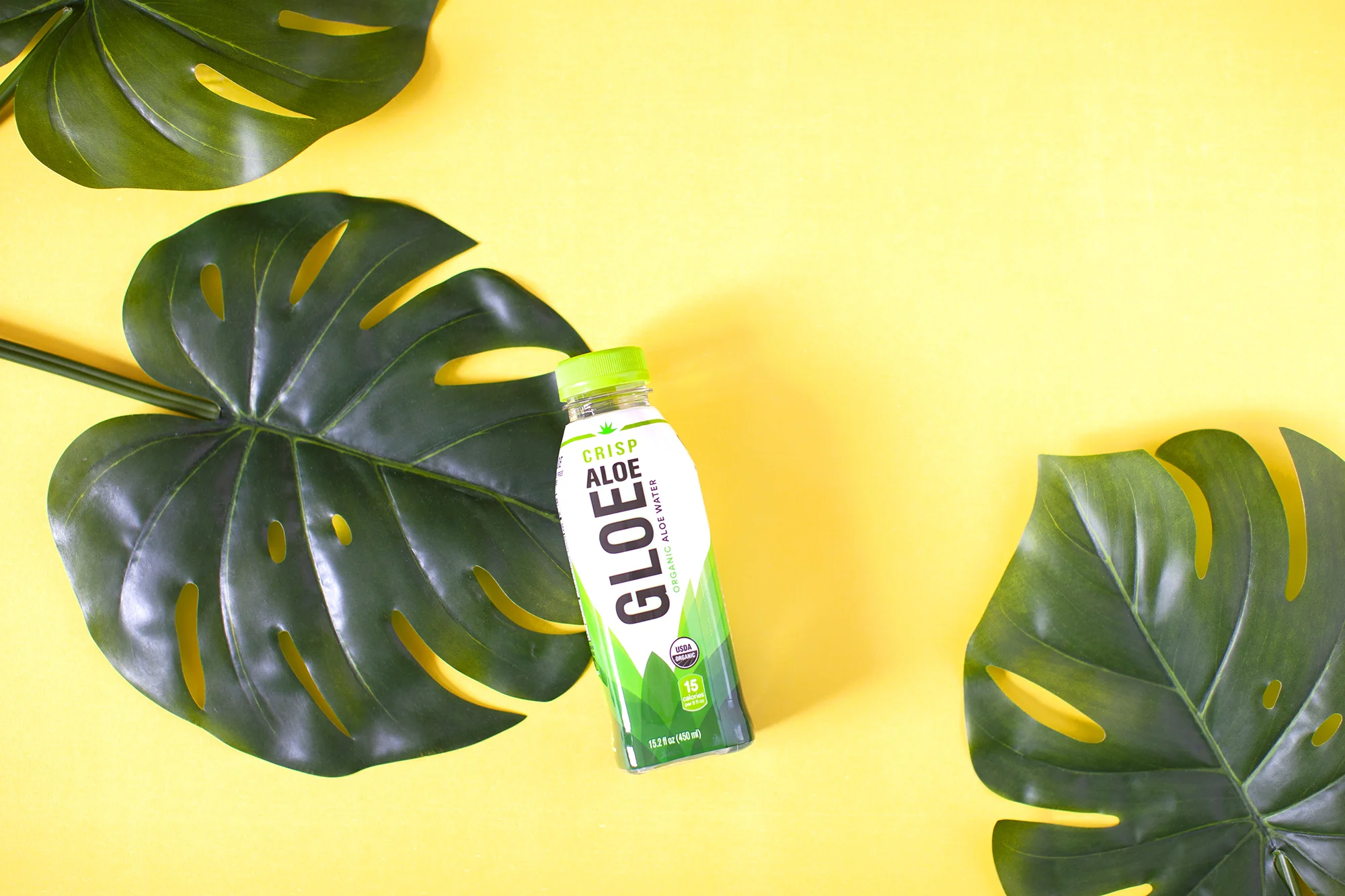 aloe 1_social.jpg