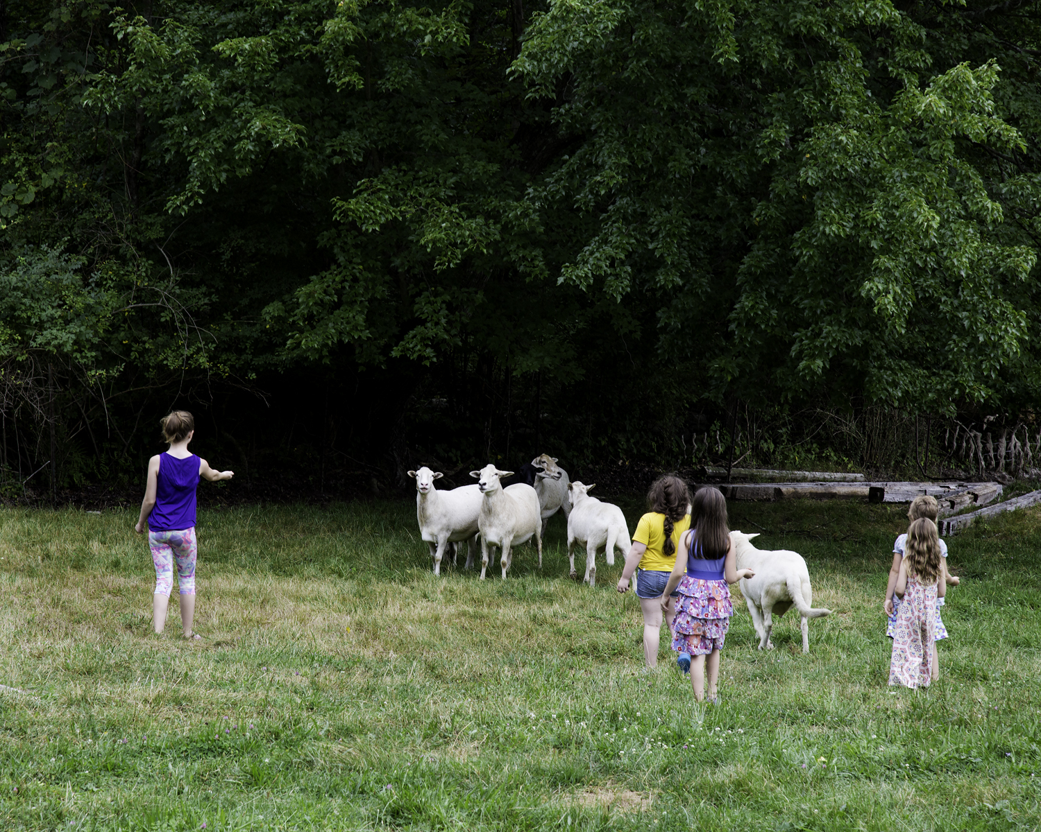 08102016_Emma Pratte_Ryder Farm1_13.jpg