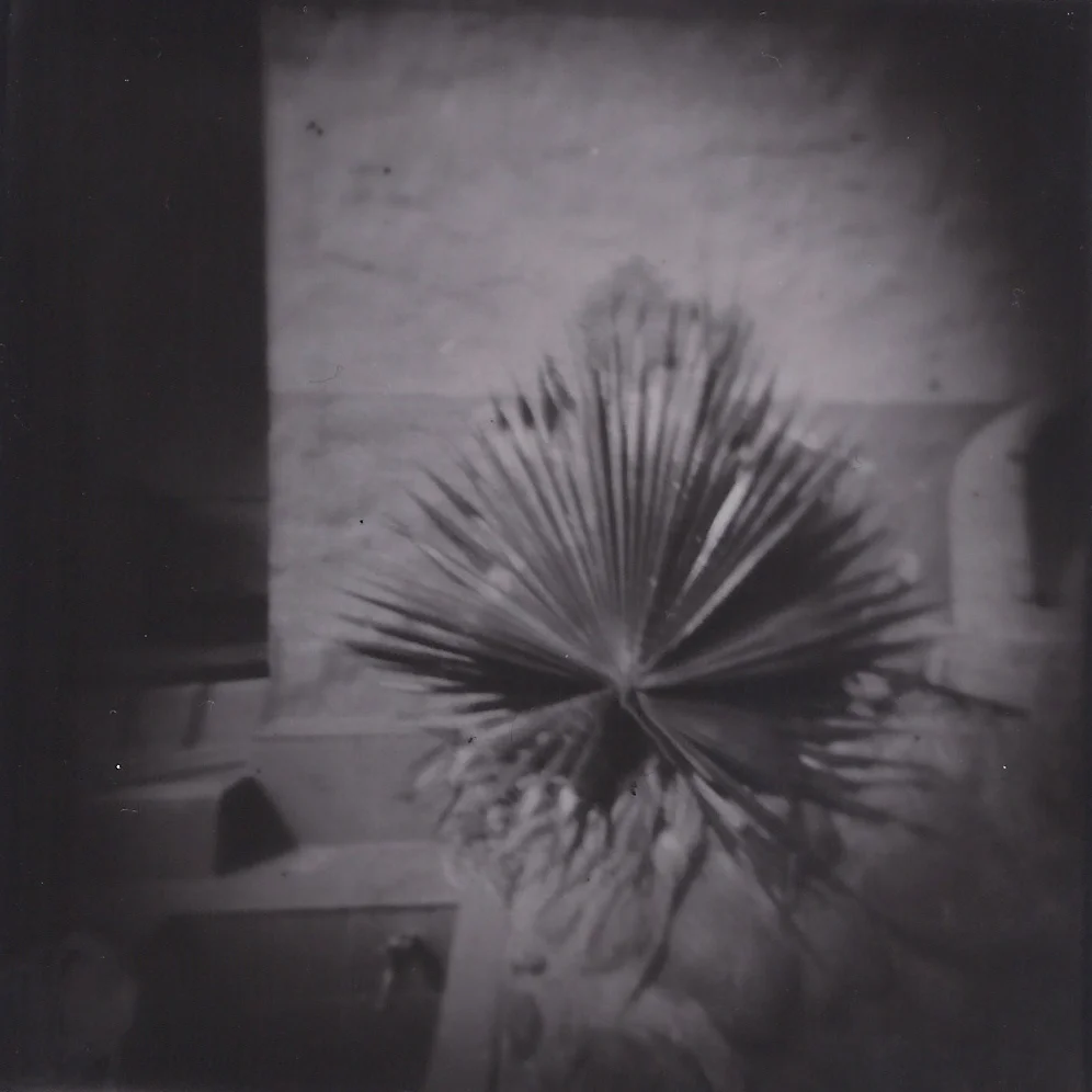 Silver Gelatin print - Pinhole
